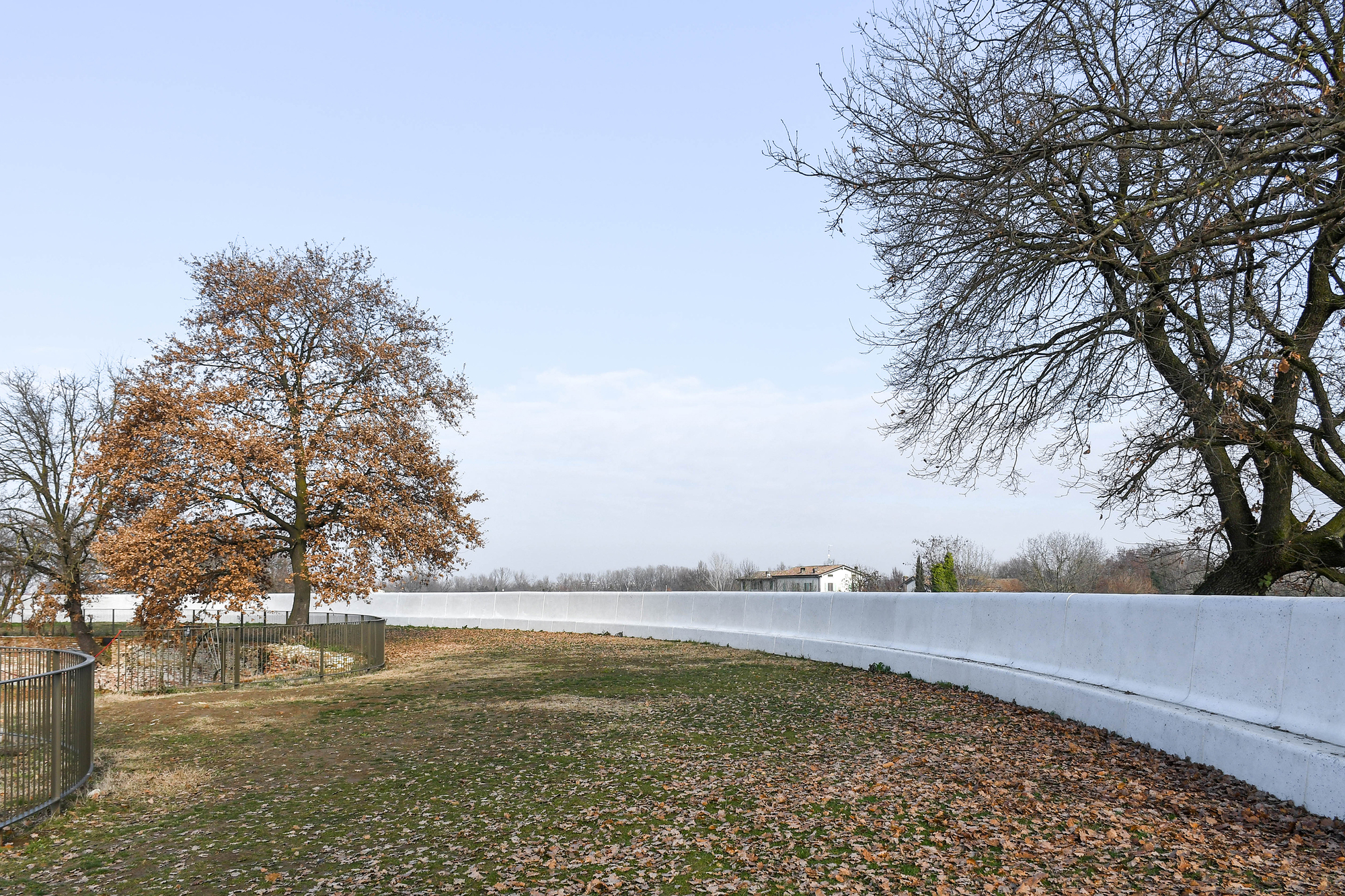 Curving white concrete wall along a lawn scattered with fallen leaves, beside an orange-leaved oak and metal railing