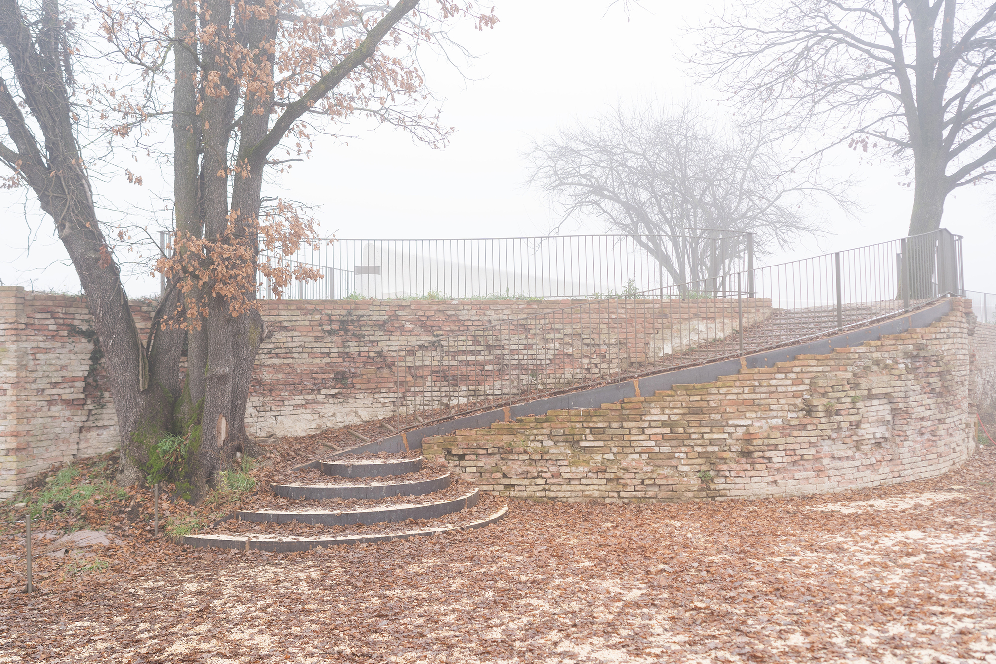 Curved brick stair with steel-edged treads climbing past an old wall and leafy trees in thick fog
