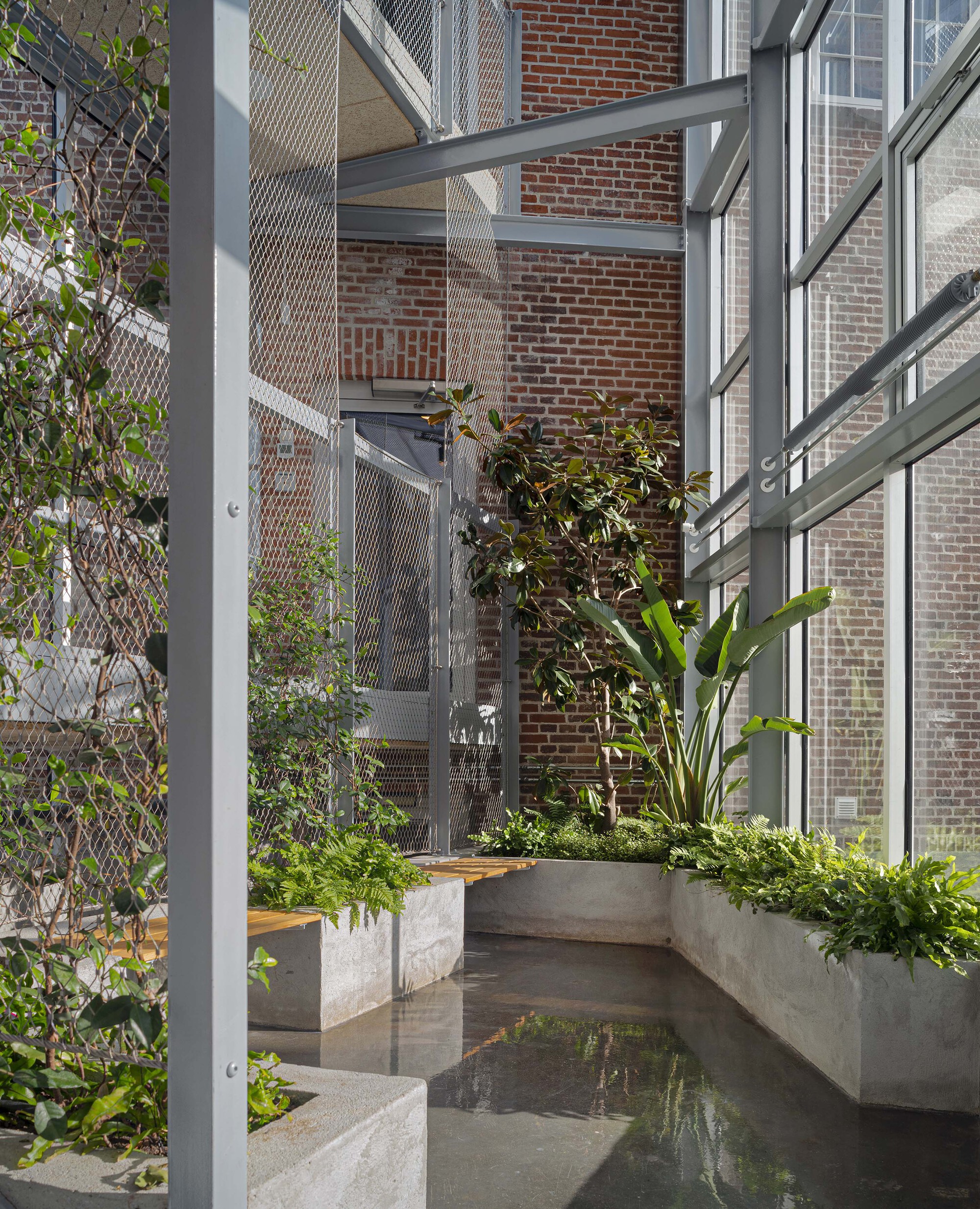 Glazed winter garden with concrete planters of ferns and bird-of-paradise beside steel mesh screens and an exposed brick wall in sunlight