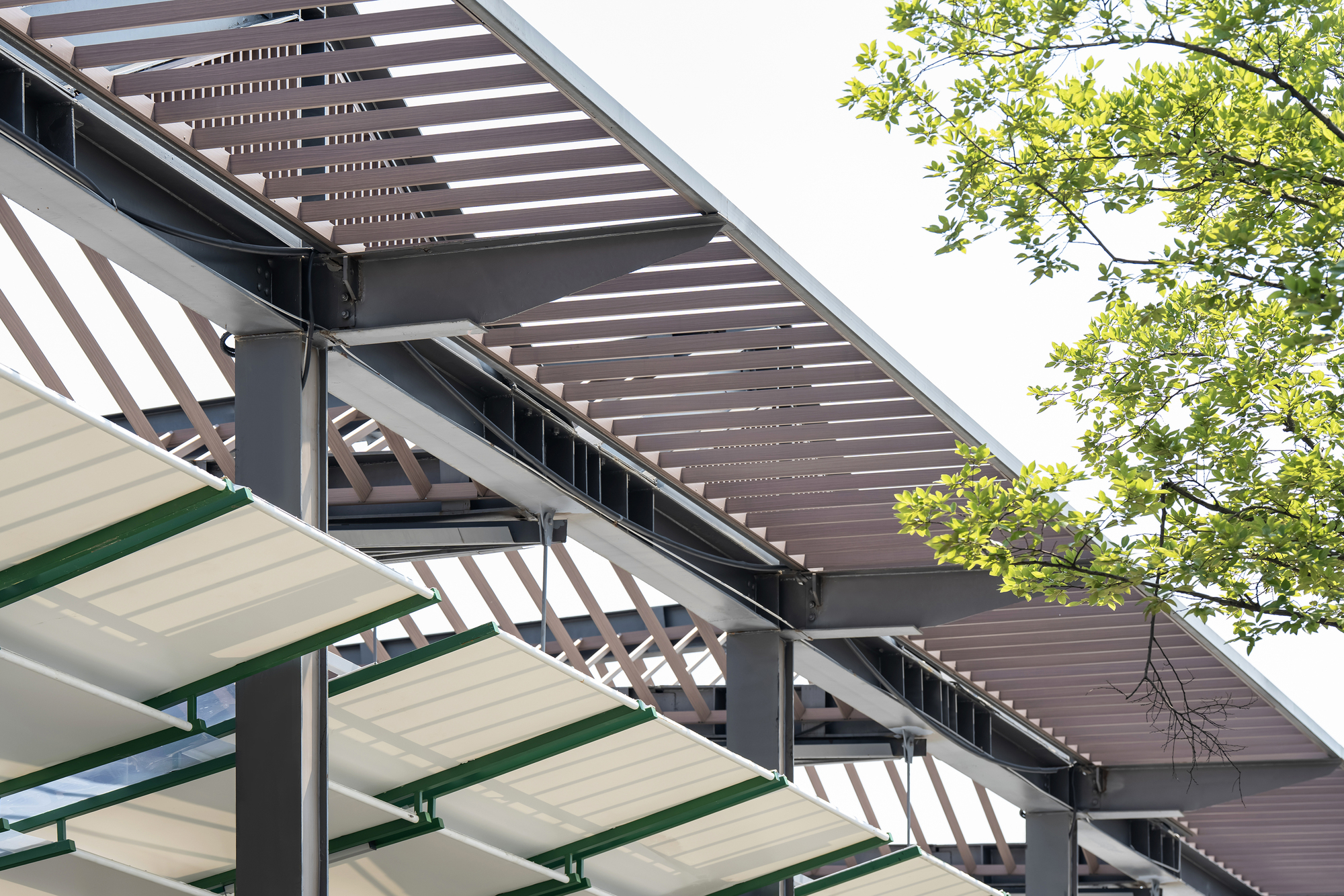 Upward view of the timber louvered roof on dark steel beams, with green-framed canopy panels below and a leafy branch