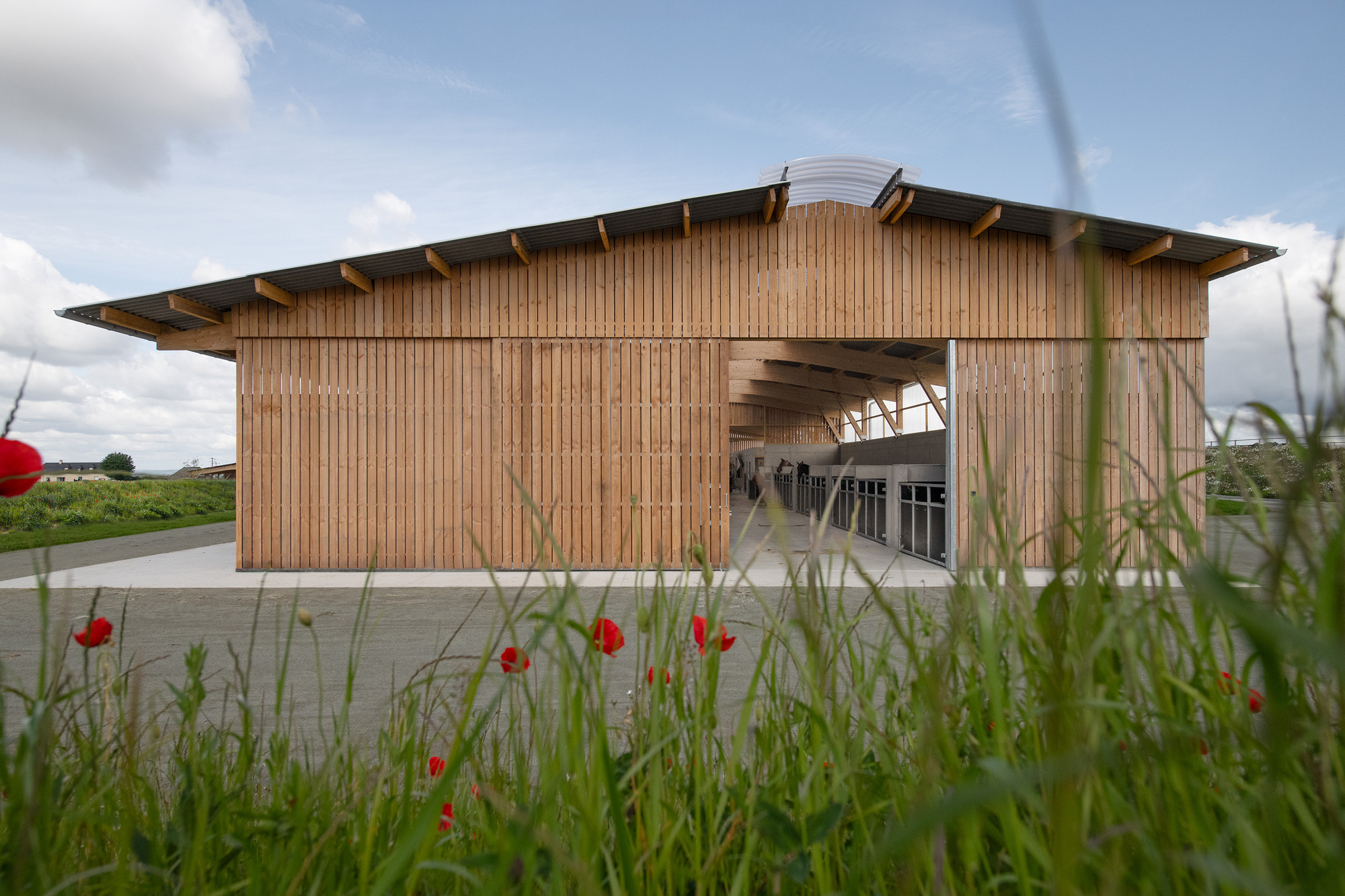 Timber-clad end gable of a stable barn with open central bay and exposed rafters, framed by red poppies and tall grass