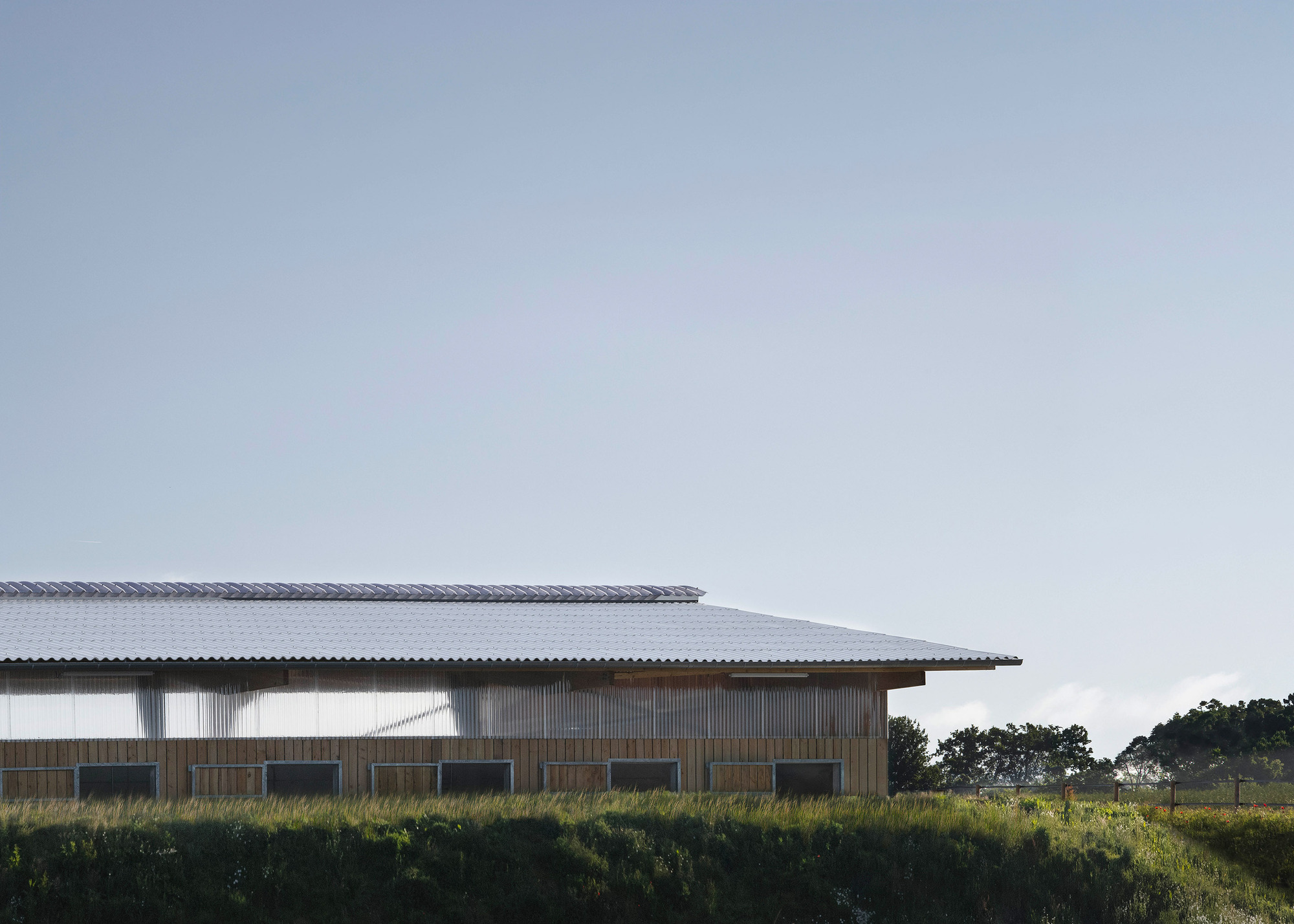 Side elevation of a low barn with corrugated roof, translucent upper band and small stall windows above a grassy bank at dusk