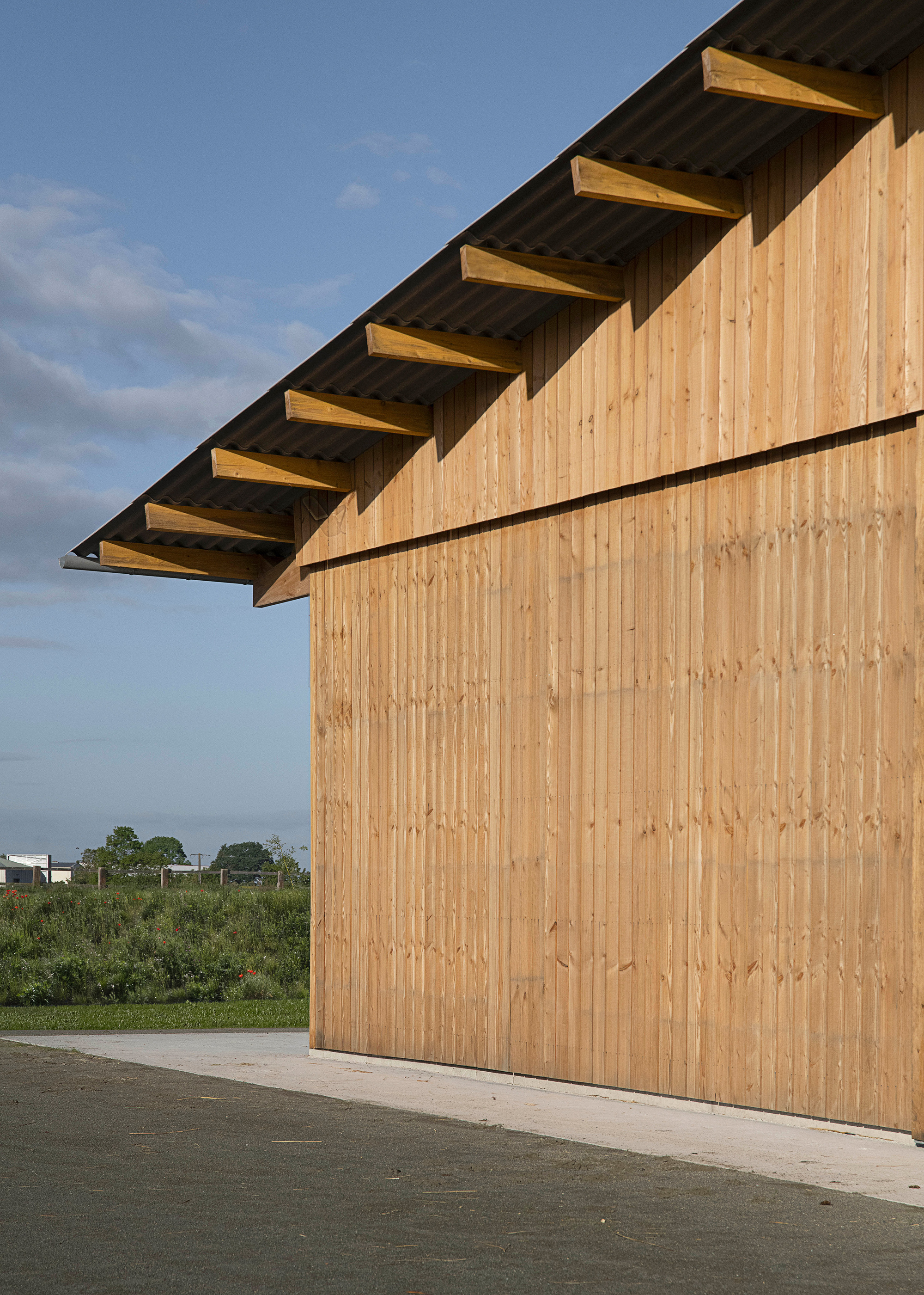 Corner of vertical timber cladding with projecting rafter ends under a dark corrugated roof against a blue sky with clouds