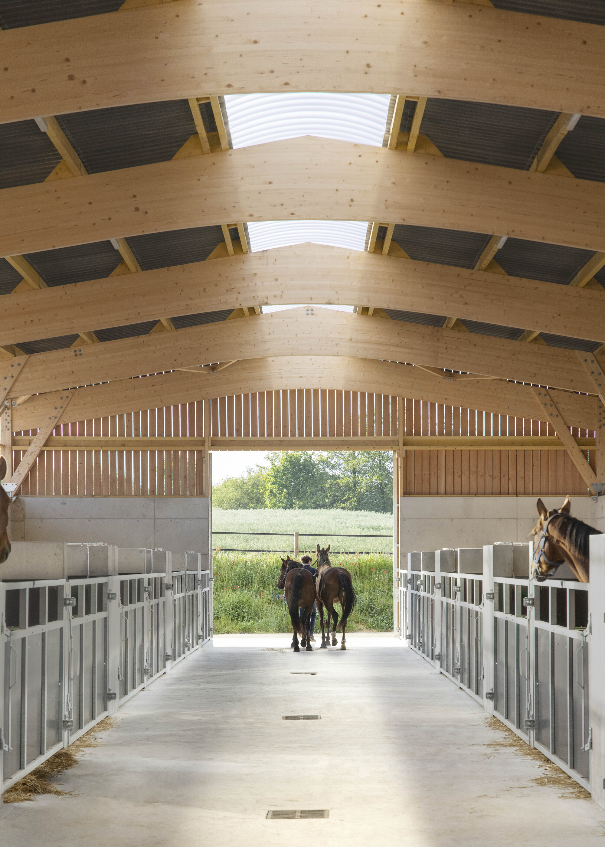 Central aisle between steel-railed stalls beneath curved glulam arches, with two horses walking toward a green field in daylight