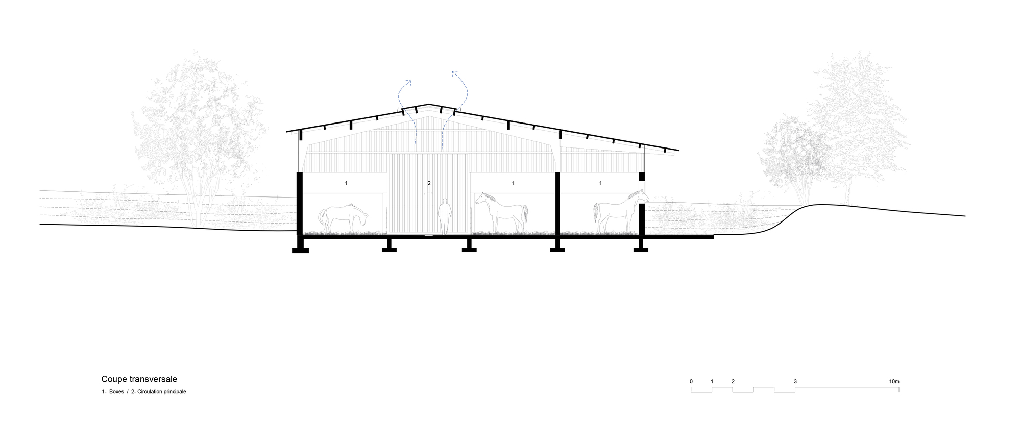 Cross section drawing of the stable showing boxes, a central aisle, a pitched roof and horses, with trees on sloping ground