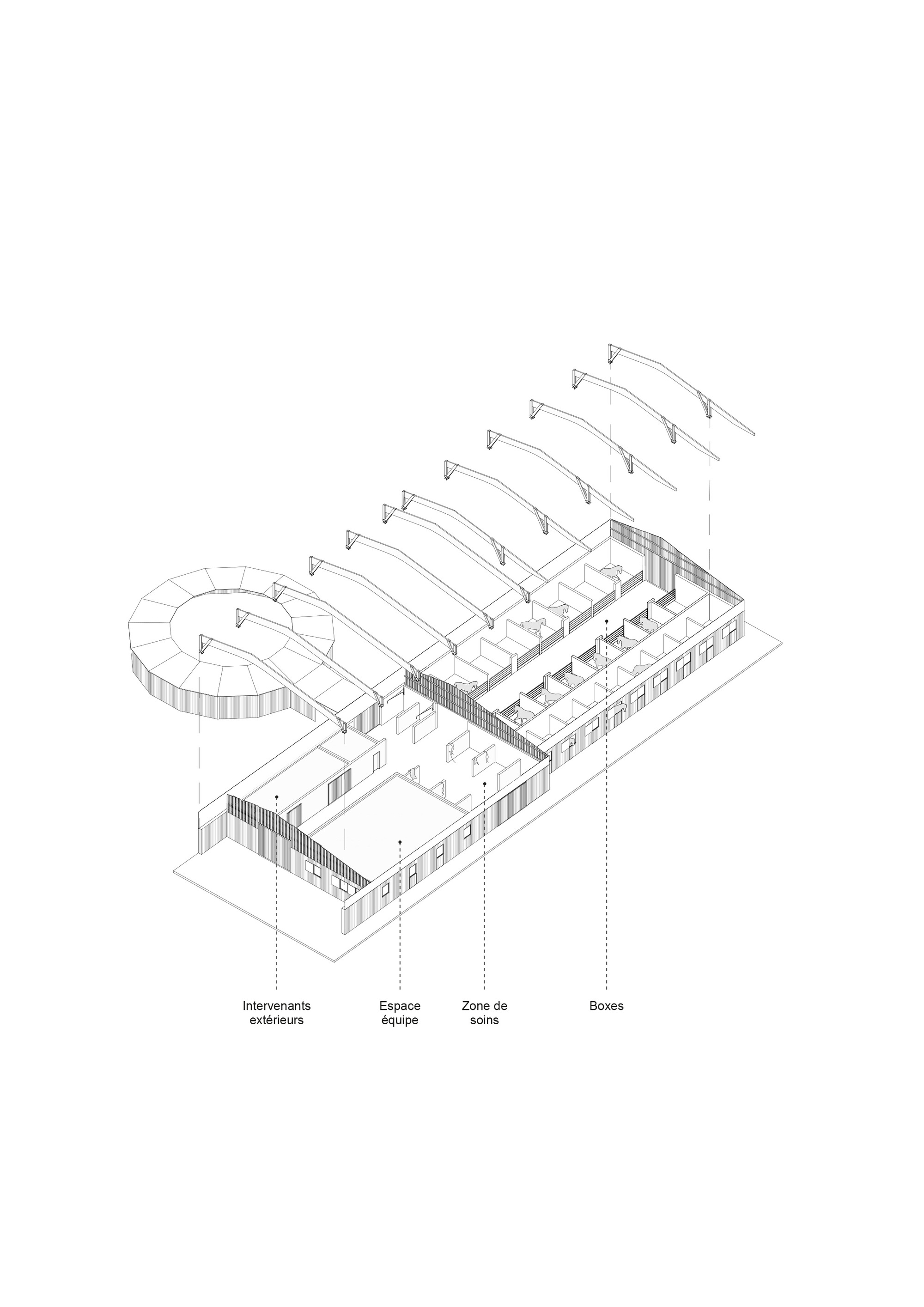 Exploded axonometric drawing showing timber roof frames lifted above a long plan of stalls, care zone, team space and a circular ring