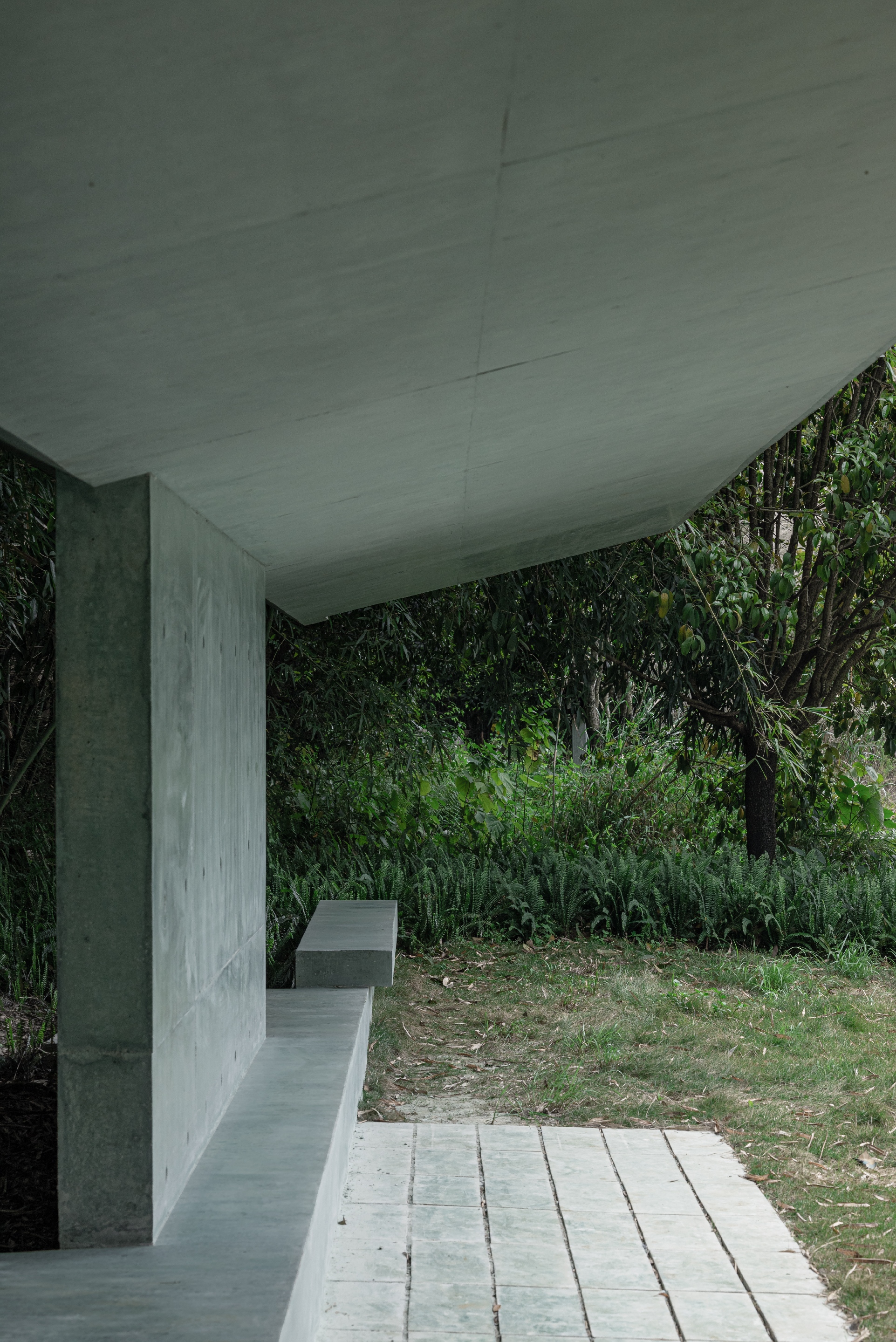 Underside of the angled concrete roof above a bench and stone paver path, with grass and bamboo beyond in soft light