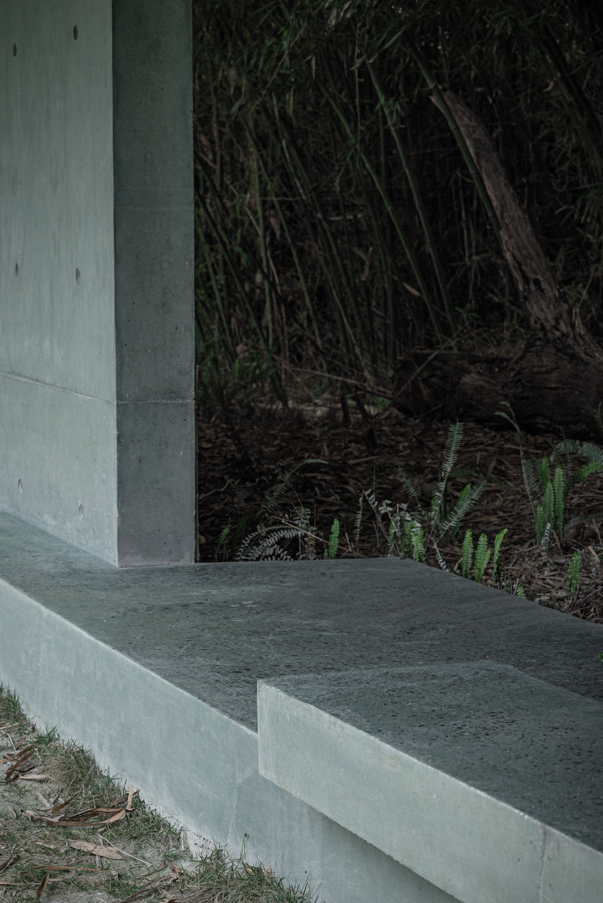 Close-up of the concrete wall, pier and stepped bench edge with ferns and leaf litter in the shaded bamboo grove