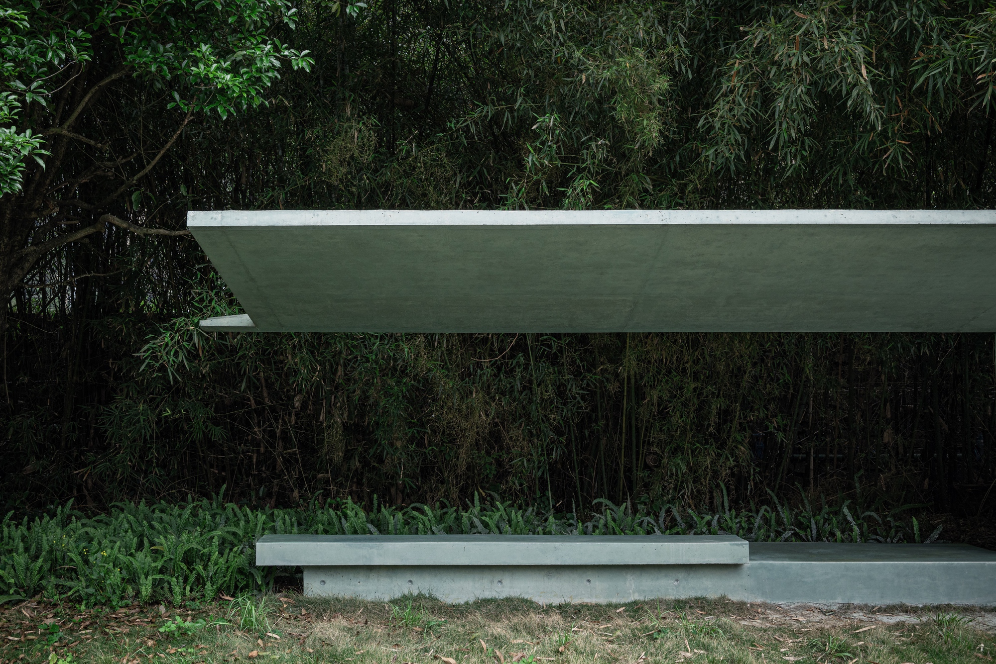 Flat concrete canopy floating above a low concrete bench, backed by dense bamboo and a fern bed