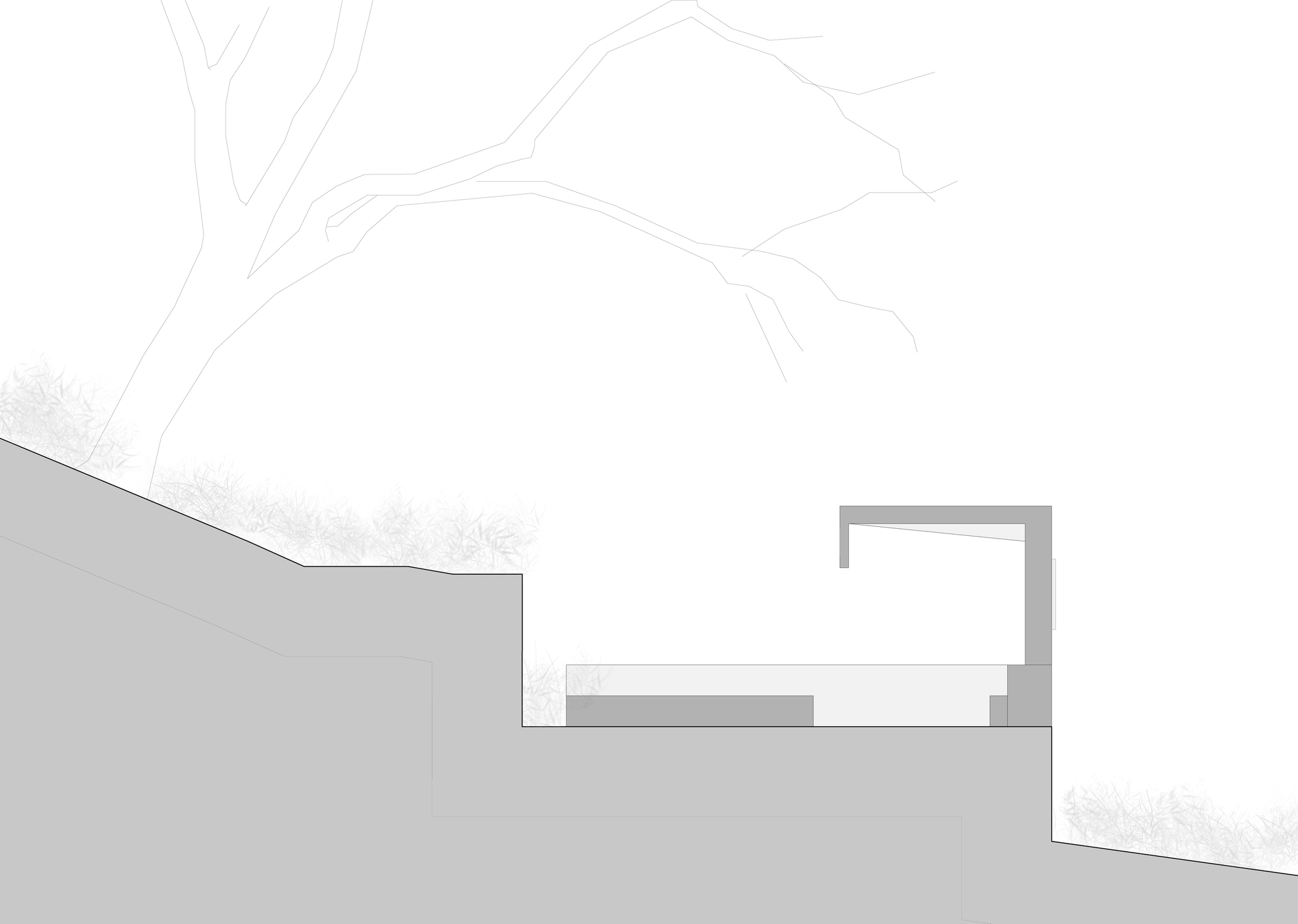 Section drawing of a small open pavilion with an L-shaped roof edge, stepped into a sloping hillside beneath a sketched tree branch