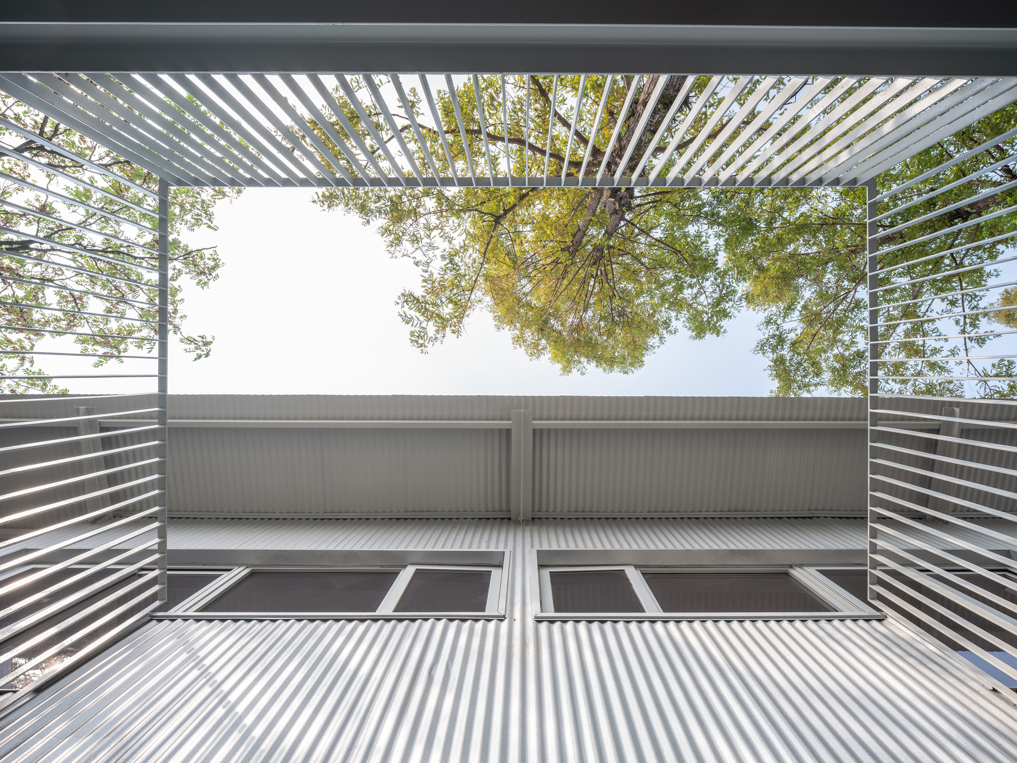 Upward view through a slatted metal frame to a tree canopy above corrugated cladding and windows in pale sky