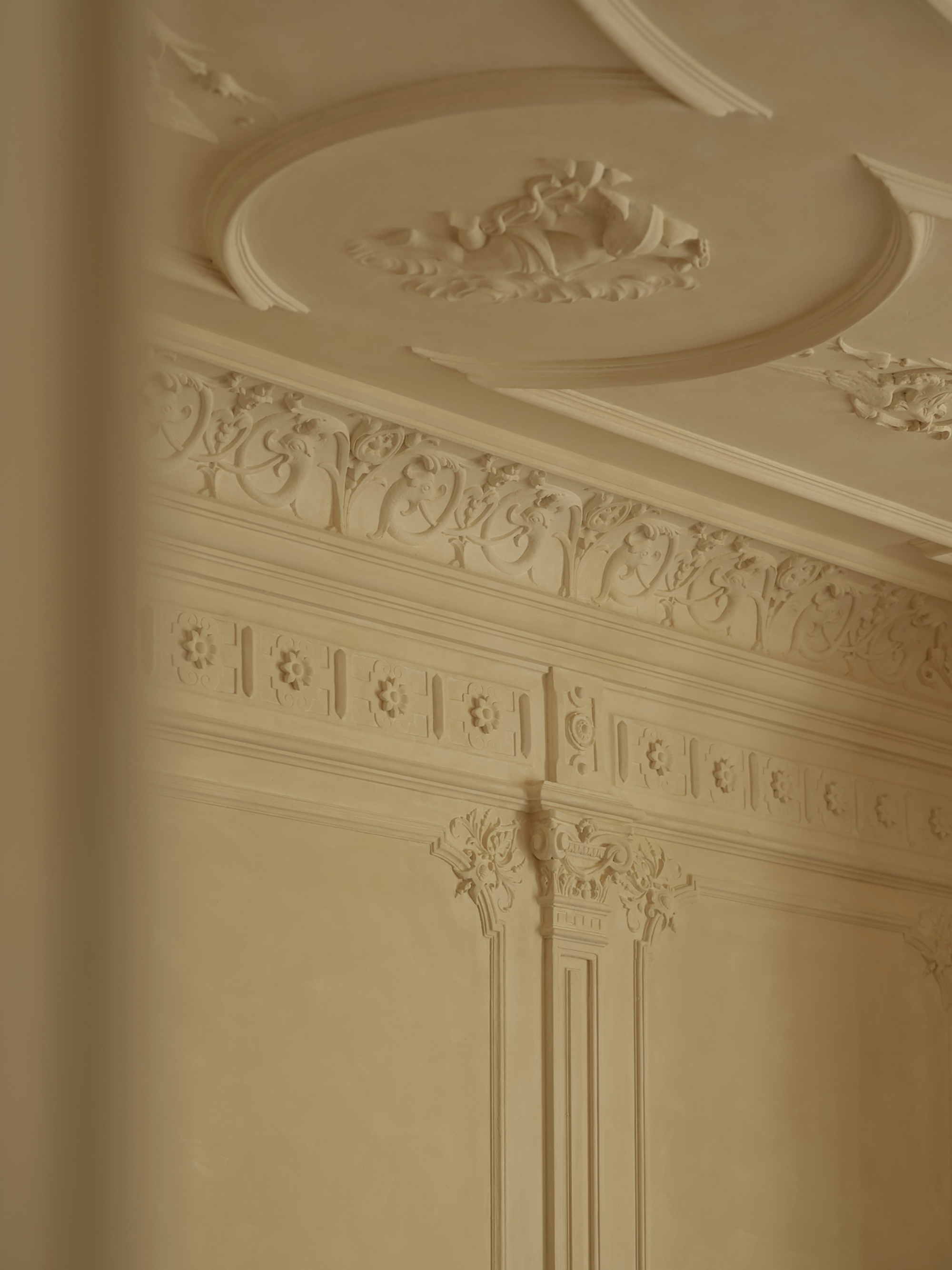 Close-up of plaster cornice with vine relief, rosette frieze and a ceiling medallion in soft warm side light