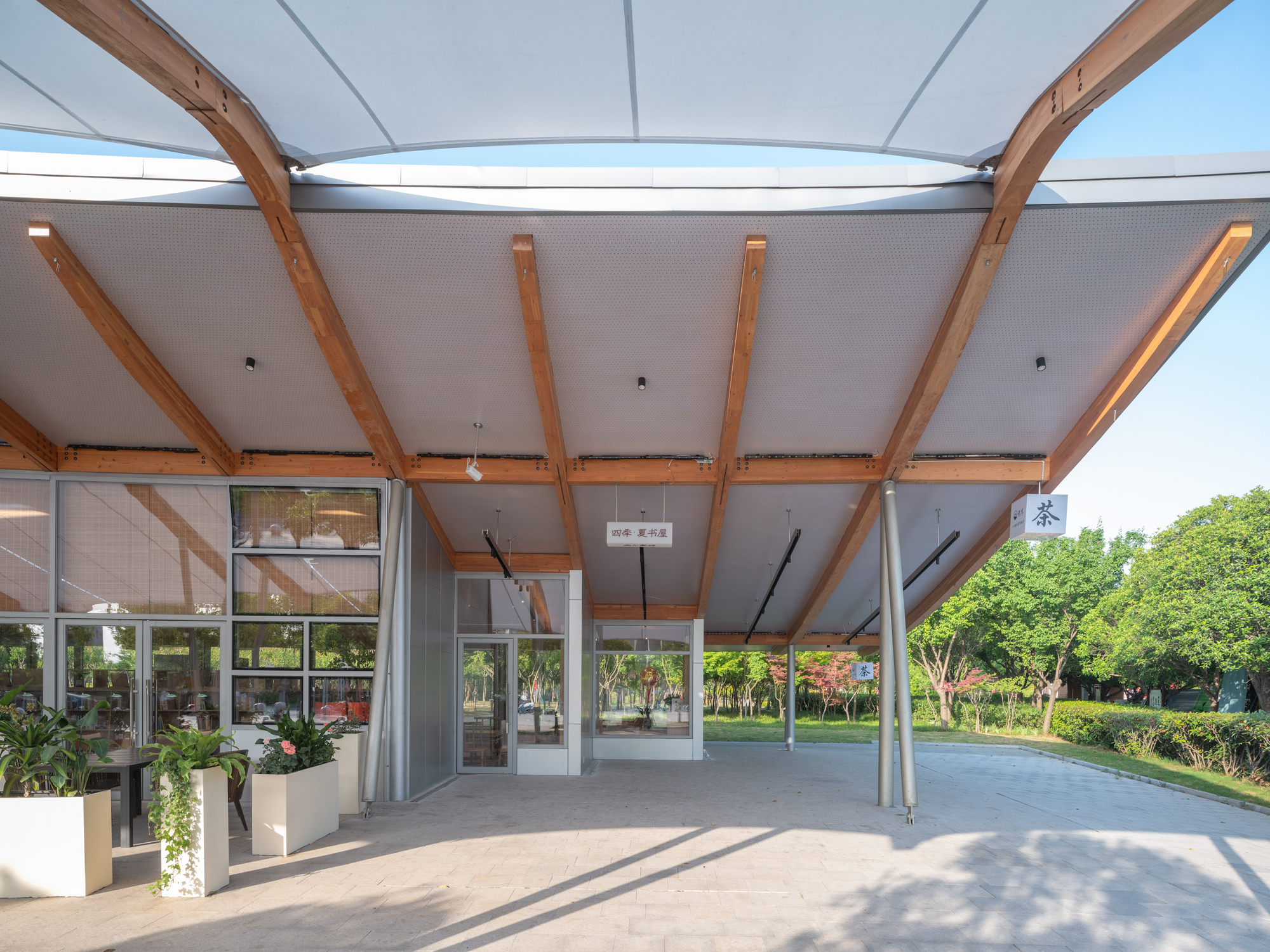 Underside of the timber-ribbed canopy above a paved forecourt with planters and a glazed tea room in afternoon sun