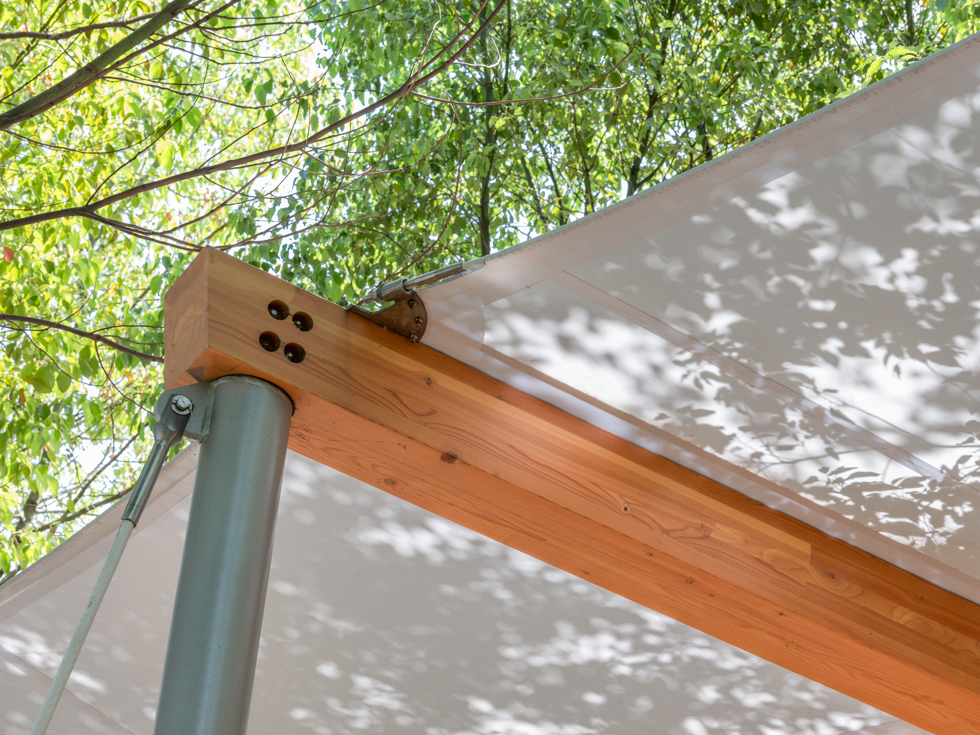 Close-up of a timber beam with bolt holes meeting a grey steel post under a translucent canopy dappled by leaf shadows