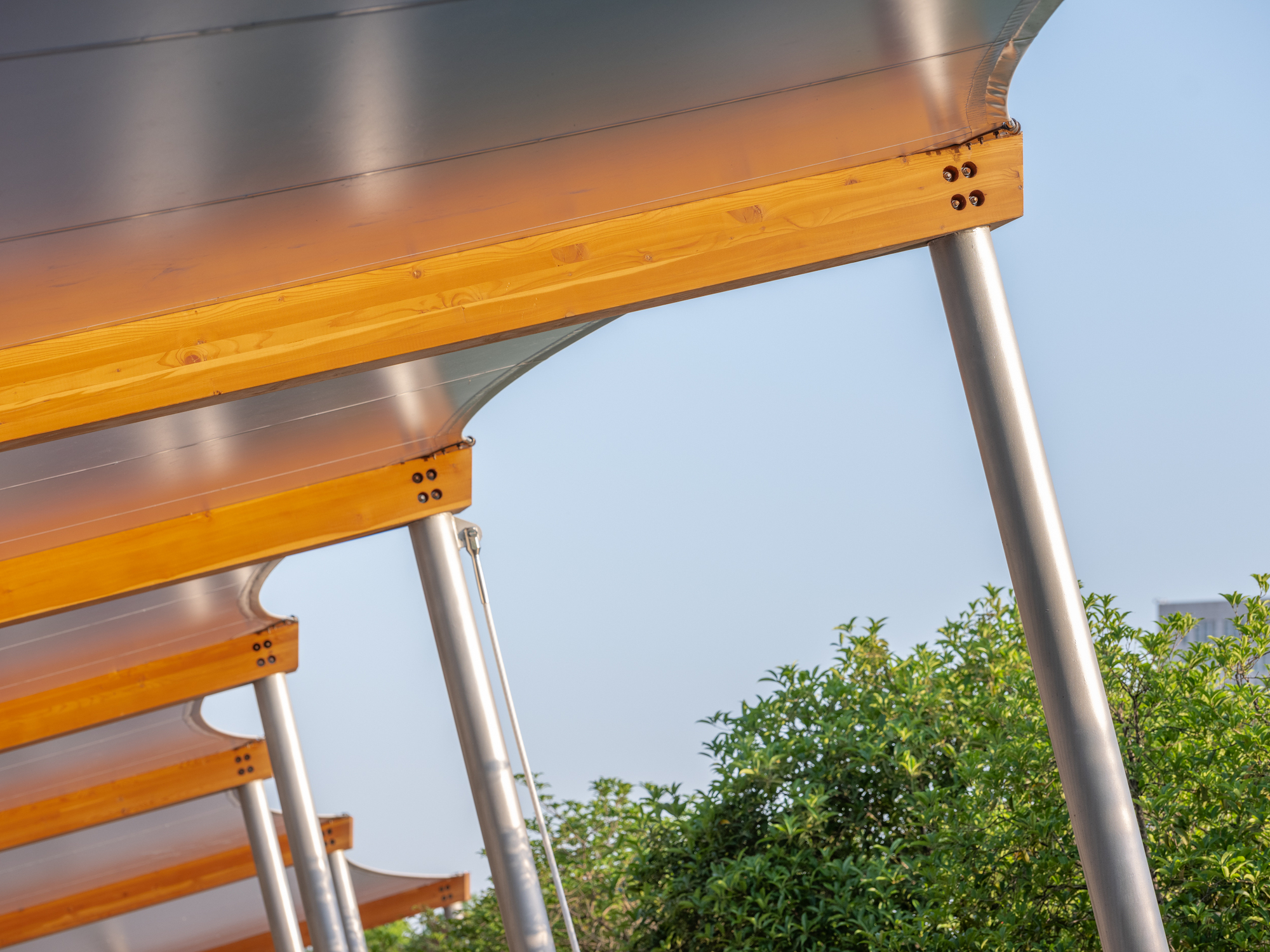Upward view of a tensile canopy on slender steel posts and timber edge beams against clear sky and green foliage