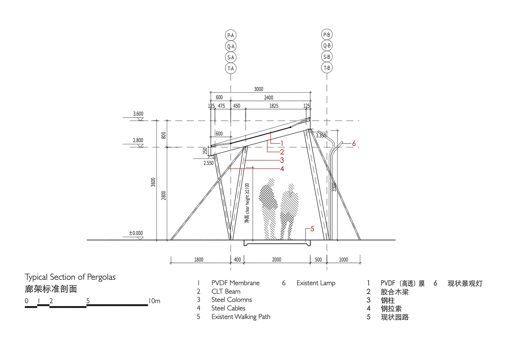 Section drawing of a pergola showing a tilted membrane roof on a timber beam, splayed steel columns and cables, with two figures beneath