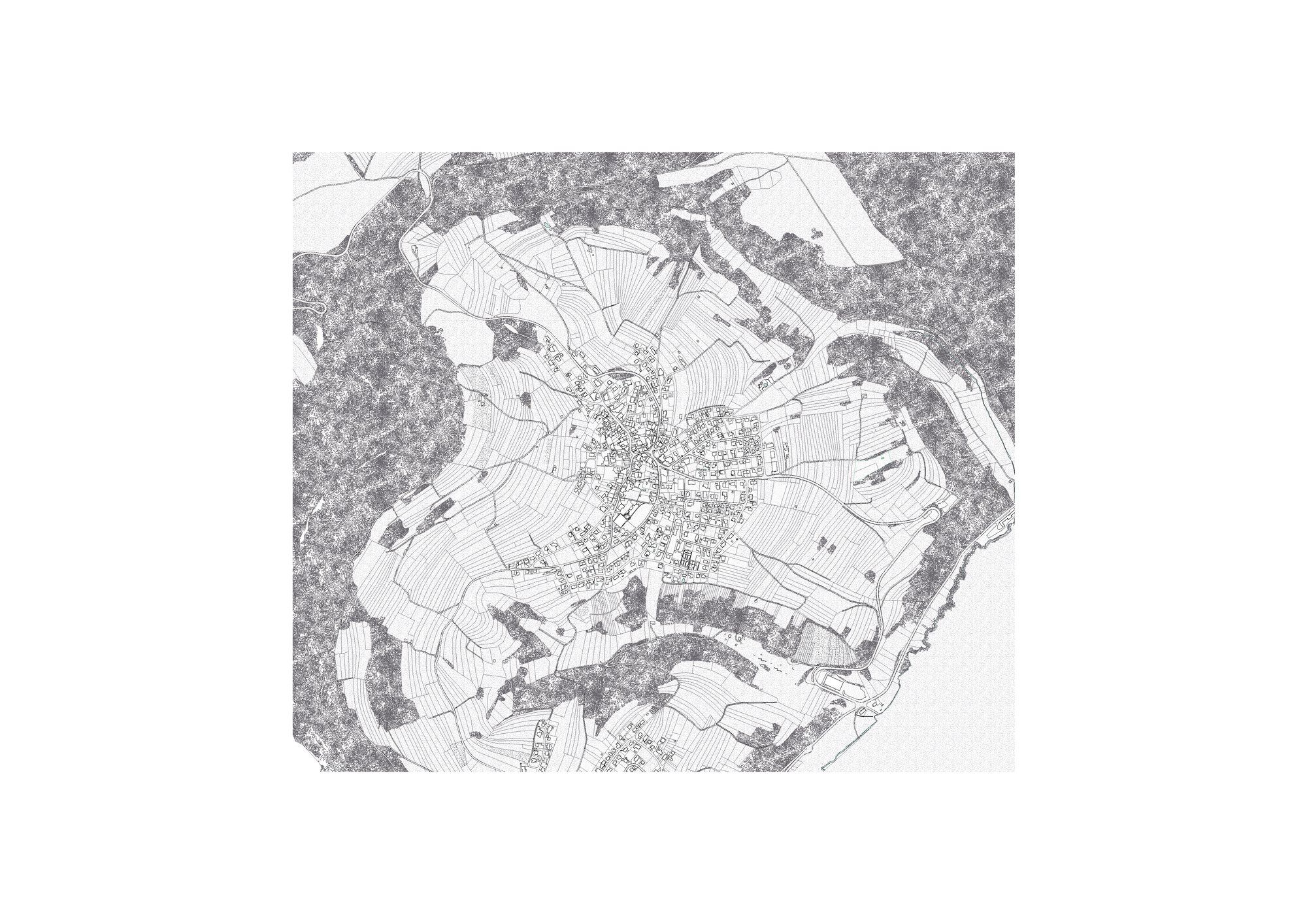 Site plan drawing of a village surrounded by terraced vineyard parcels and dense woodland, rendered in grey line work