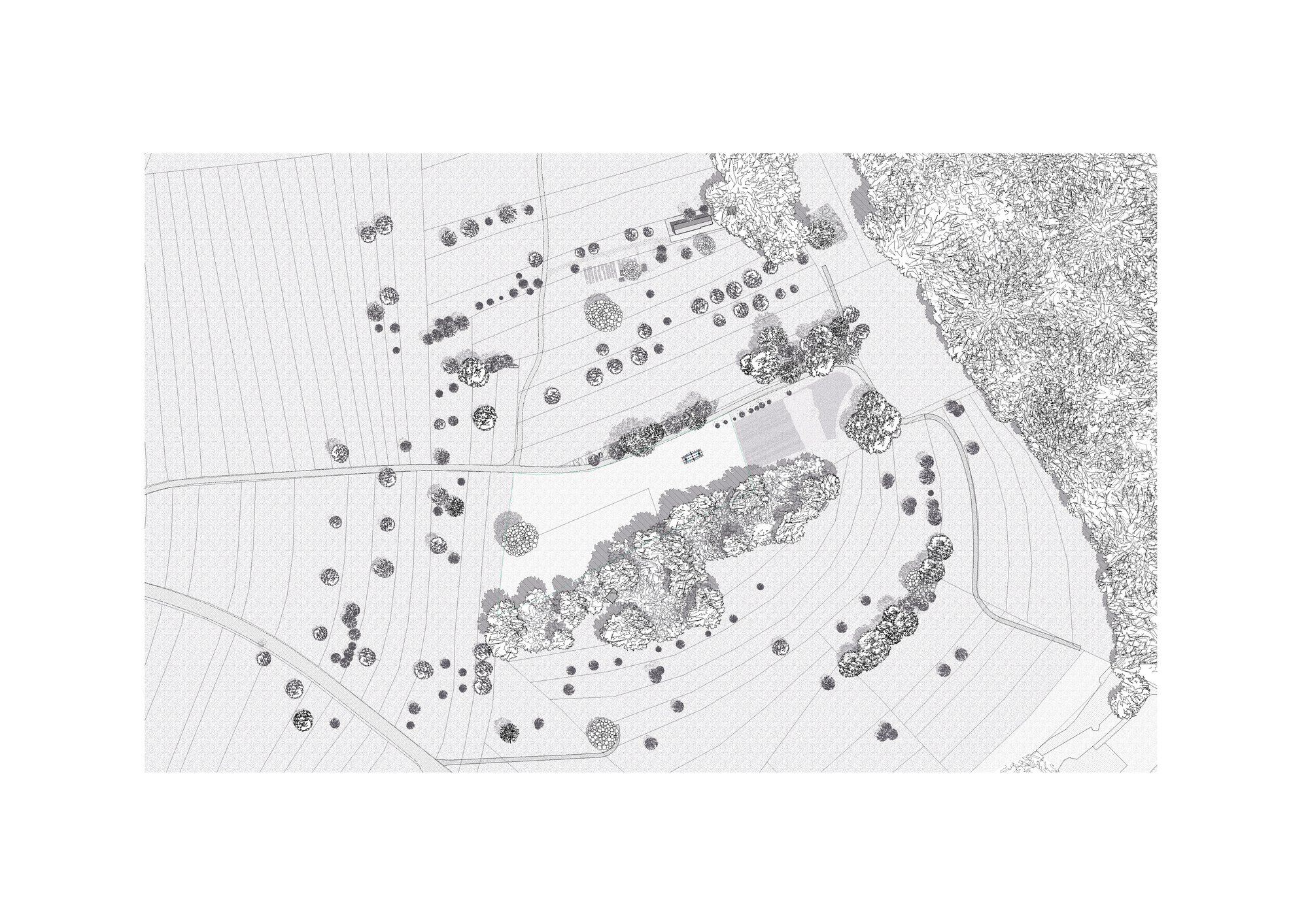 Site plan drawing of a small clearing among scattered trees, field lines and a wooded slope, with a tiny building footprint at center