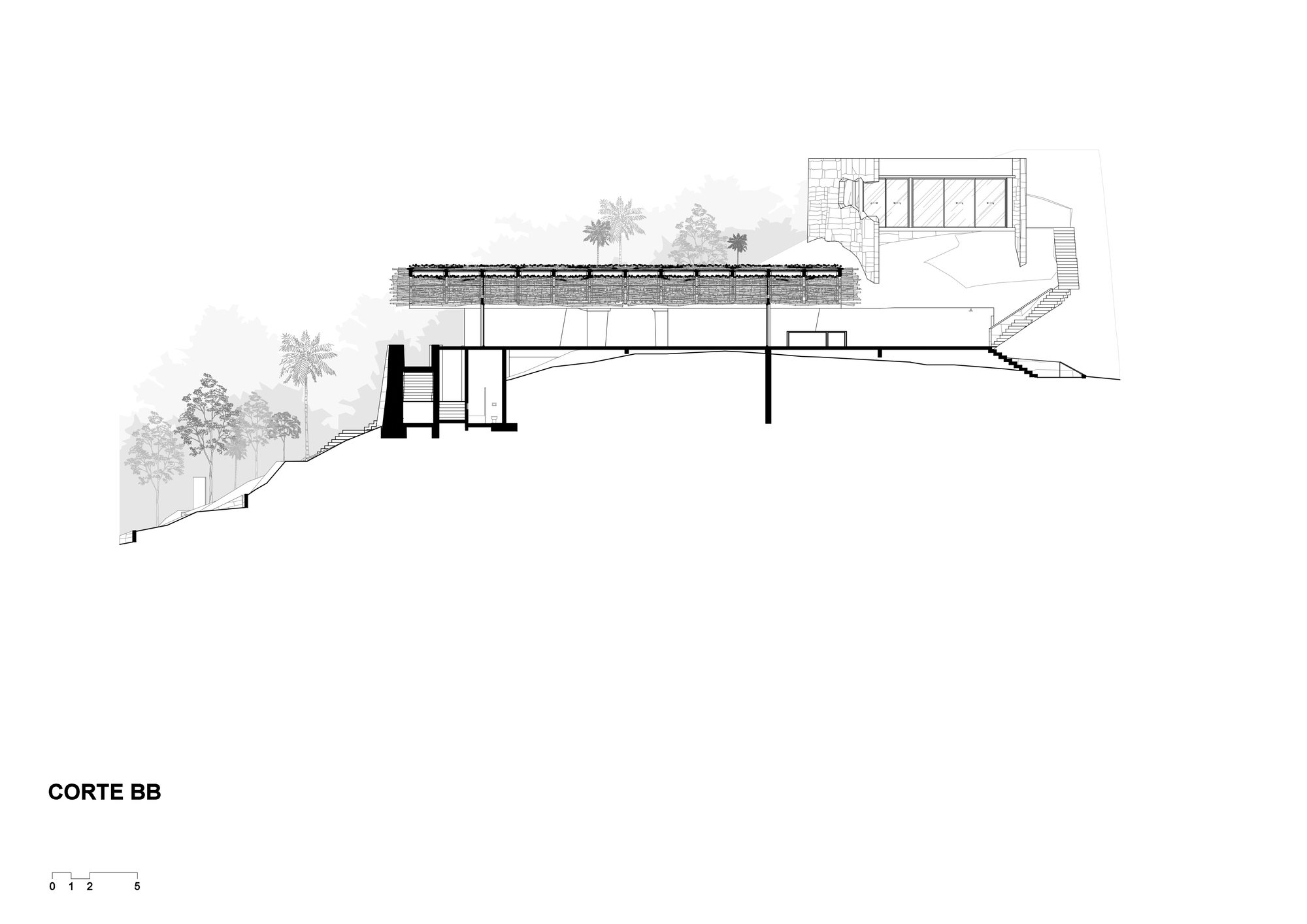 Section drawing cutting through a long flat green roof on slender columns, set into a wooded slope with palms and a stone-clad volume above