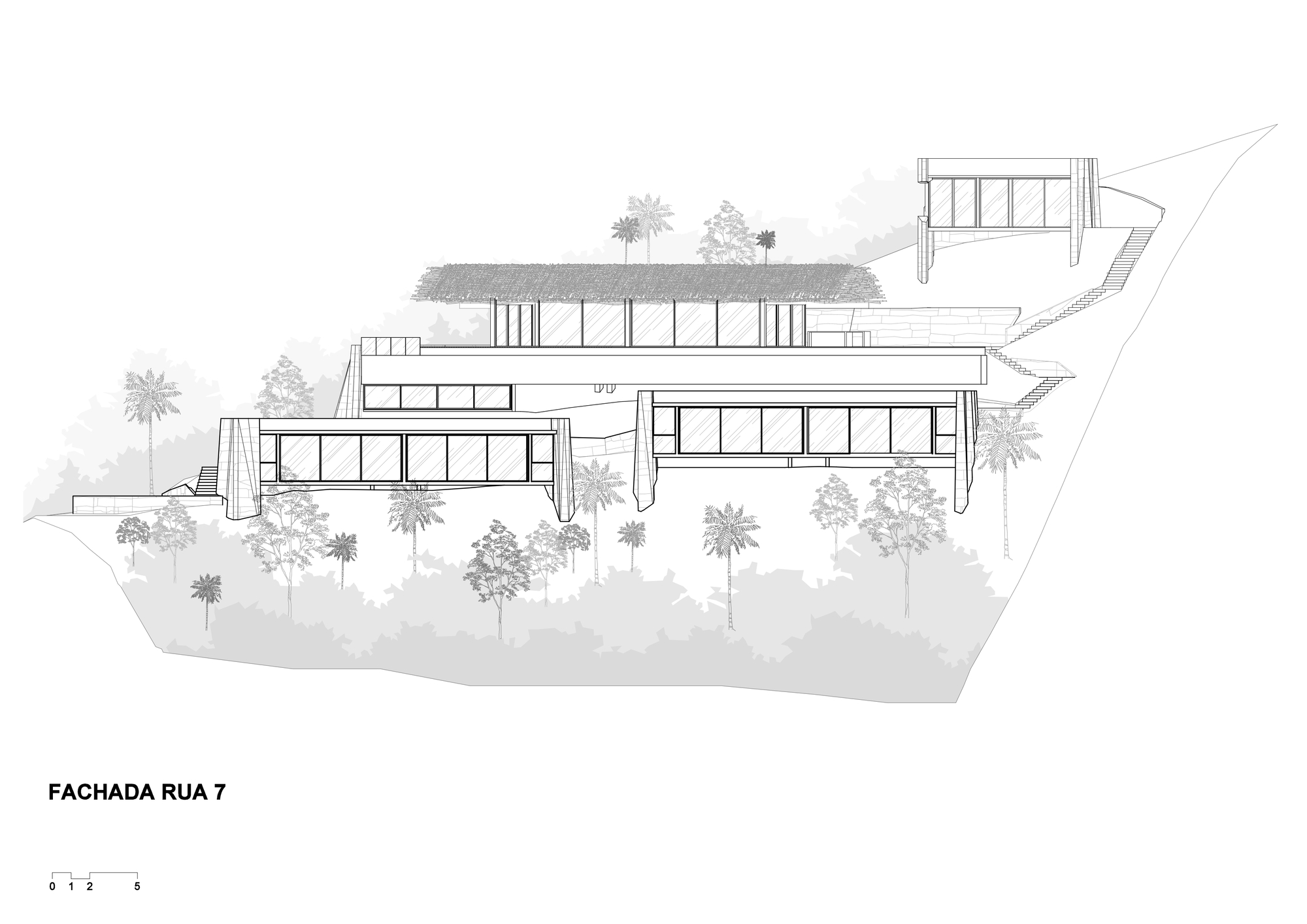 Elevation drawing of a terraced hillside house with a planted roof and glazed volumes projecting over dense trees and palms