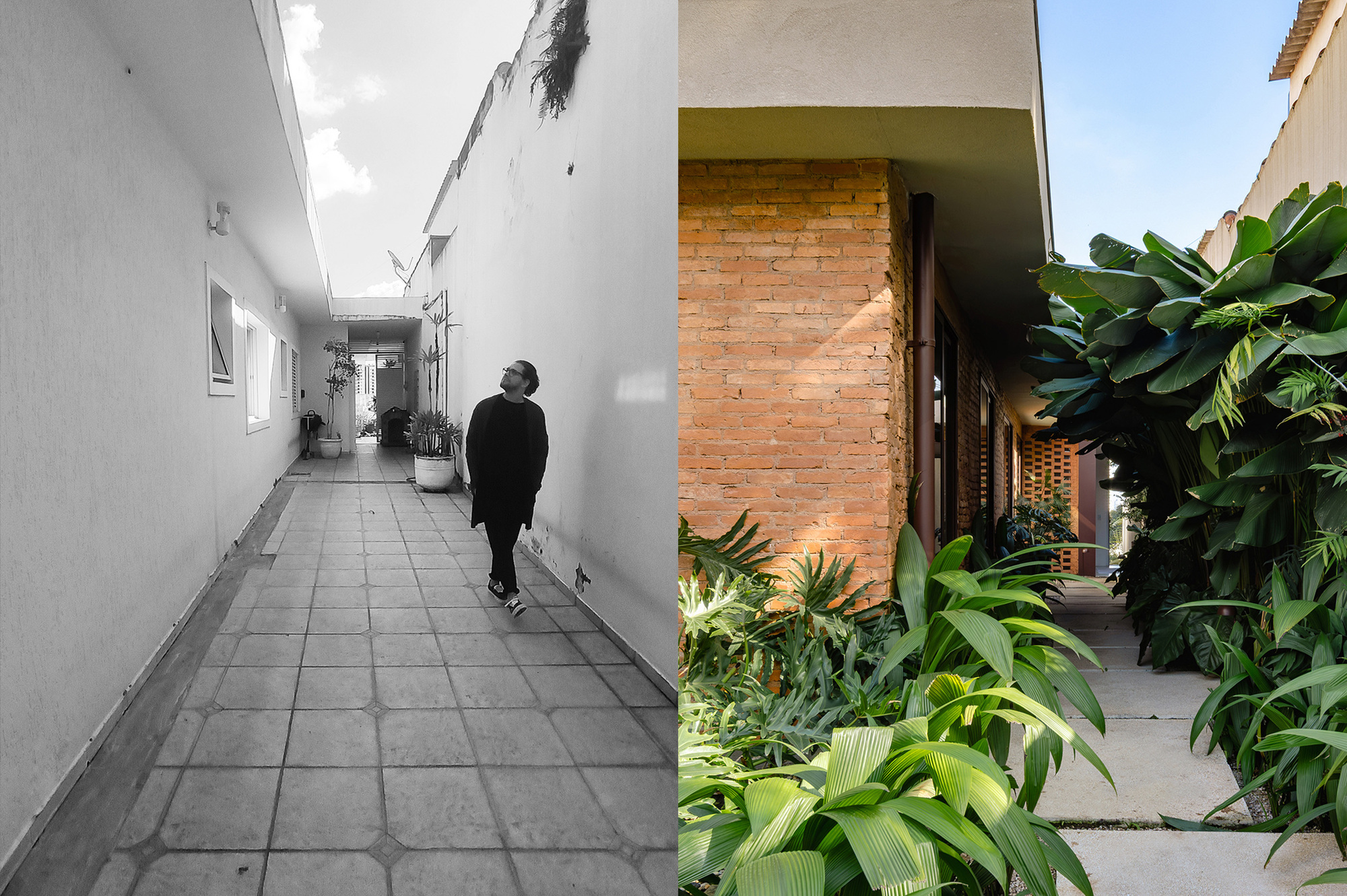 Split before and after side passage, a bare paved corridor with a man looking up beside an exposed brick wall lined with leafy plants