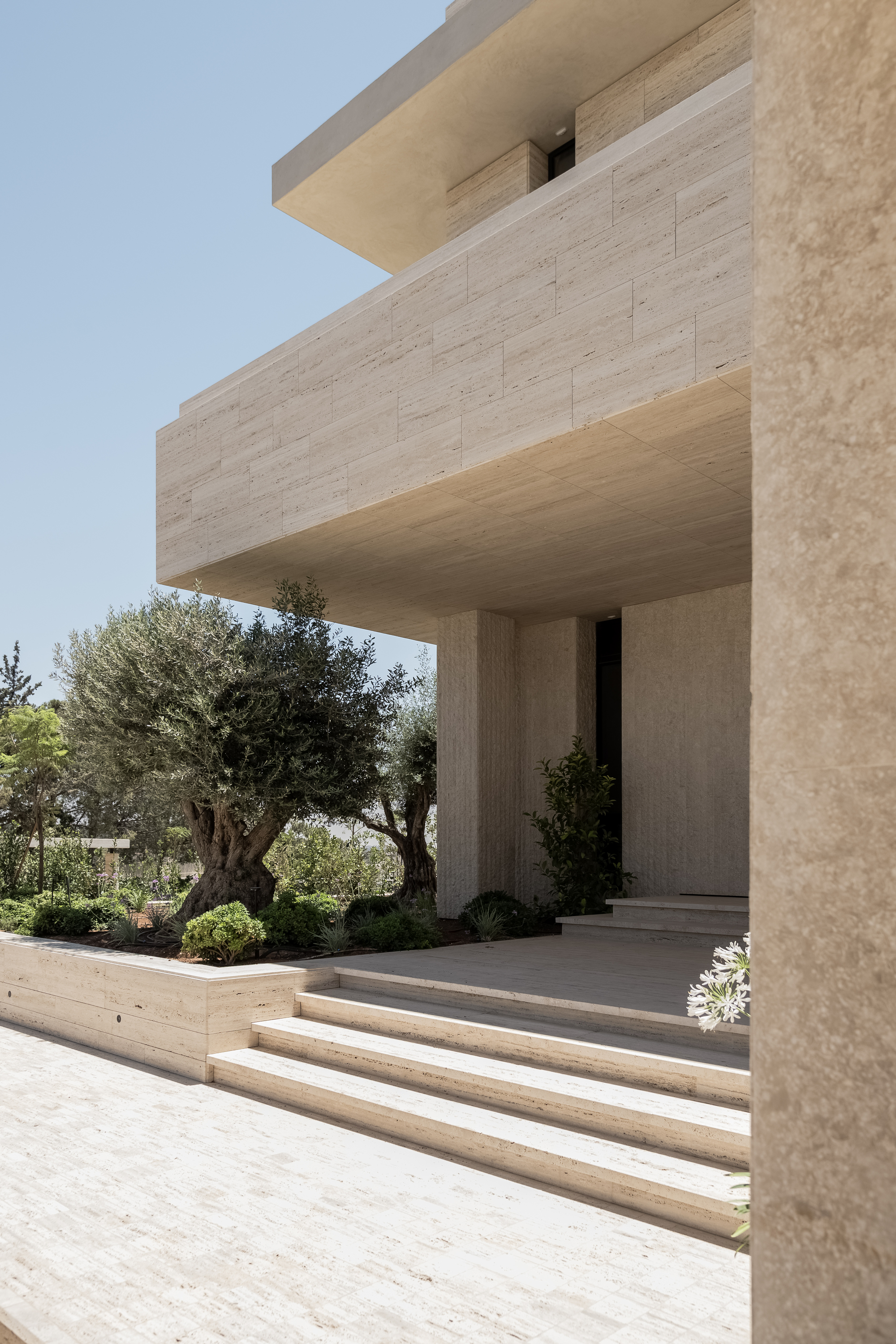Entrance steps rising beside an olive tree toward a cantilevered travertine volume in bright midday sun