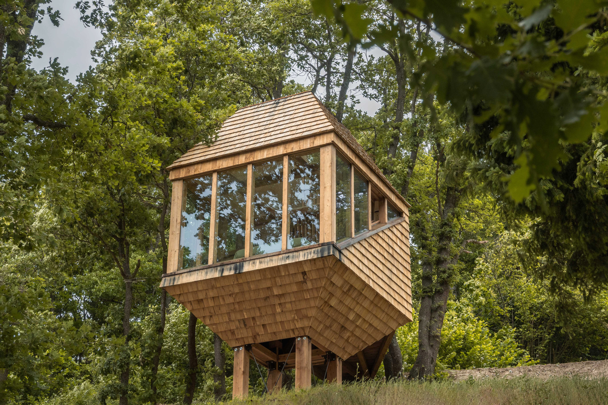Low angle of the shingle-clad cabin cantilevered on timber stilts, its glazed upper level framed by green summer foliage