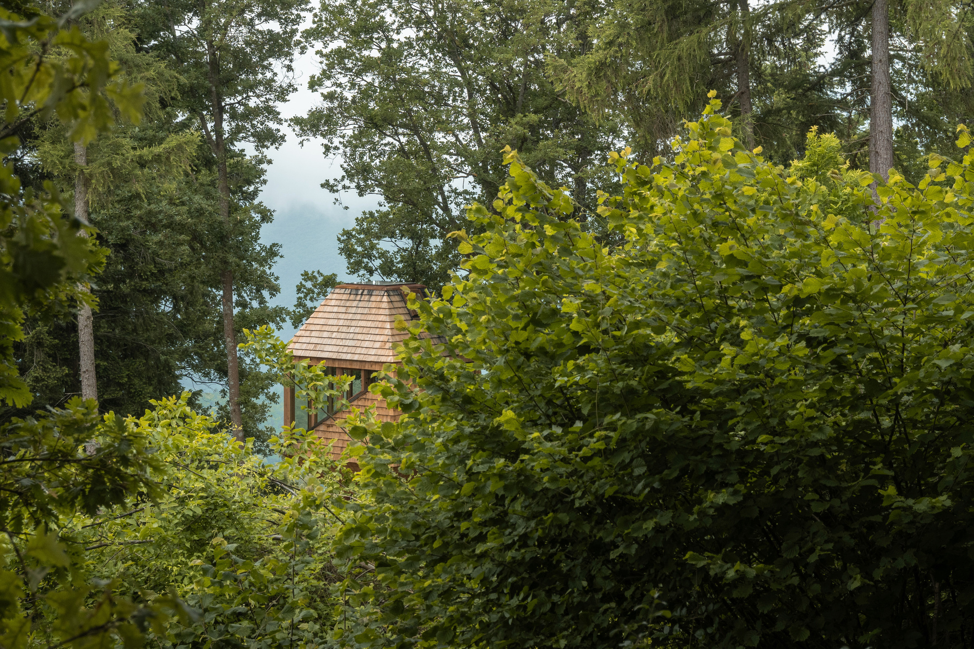 Shingled roof of the cabin glimpsed through leafy branches, with misty hills in the background on an overcast day