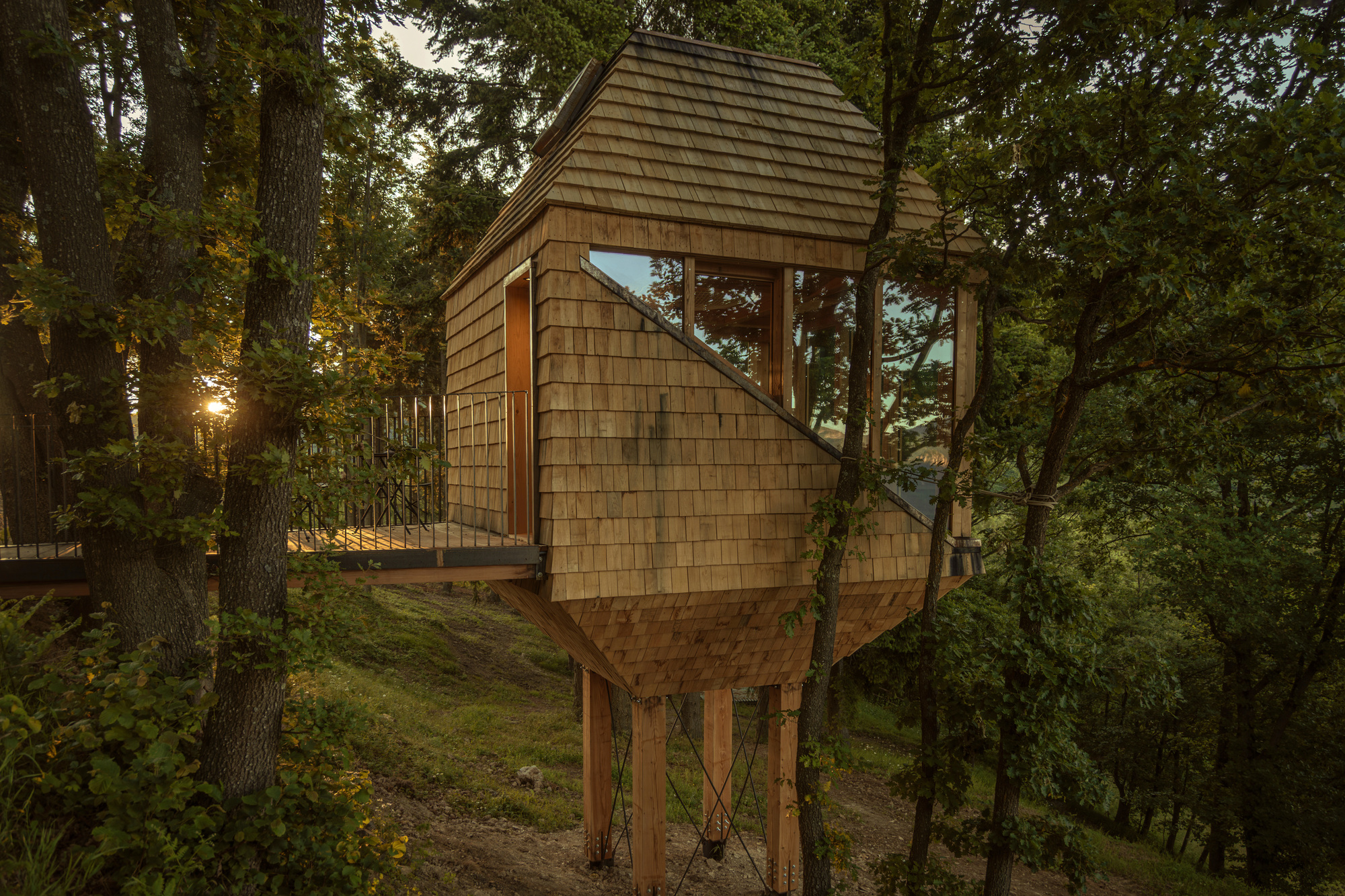 Elevated shingle cabin on angled timber legs with a railed walkway, lit by low sun filtering through the forest