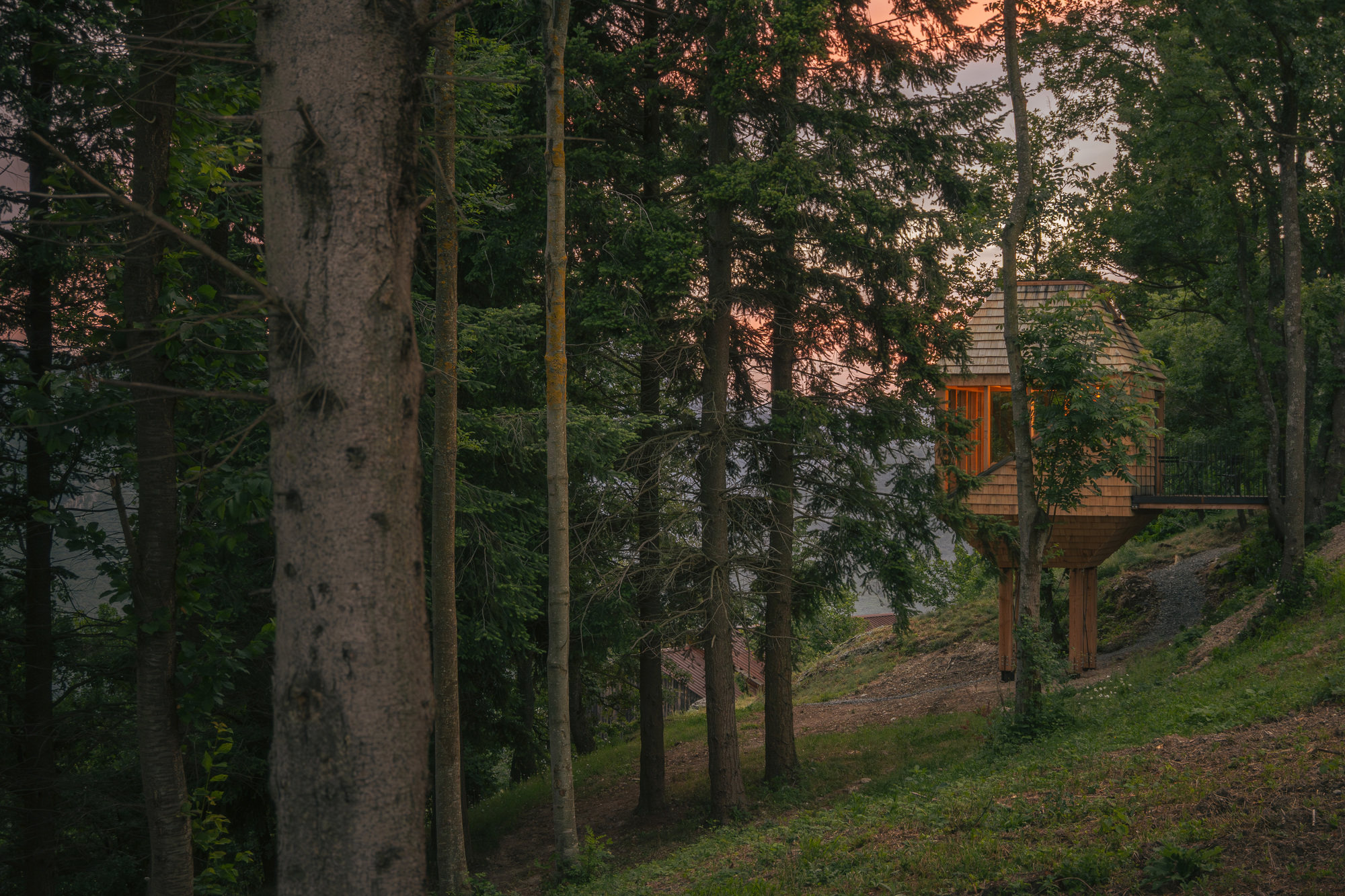 Small timber cabin on stilts glowing among tall conifers on a grassy slope at dusk with a pink sky