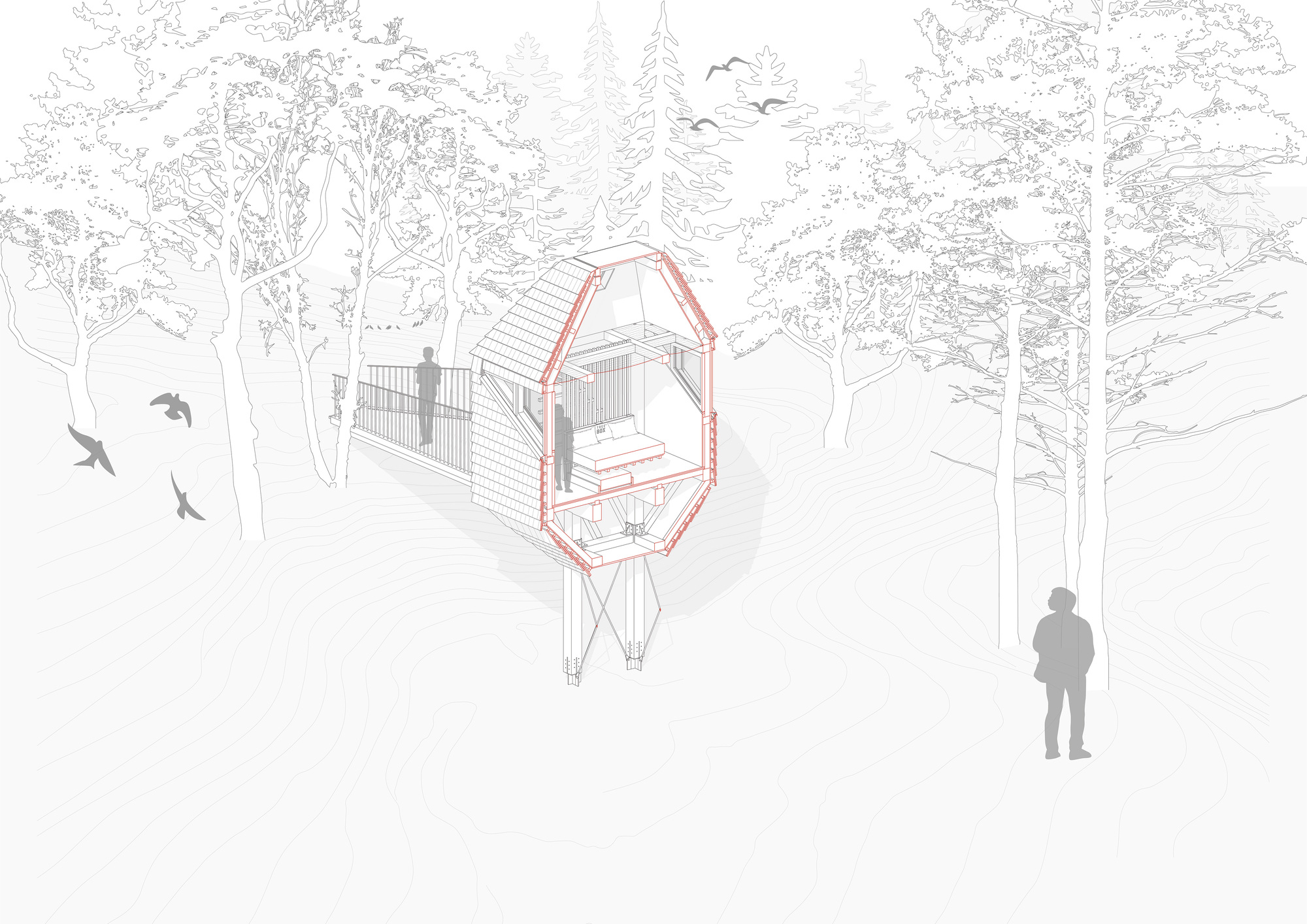 Cutaway axonometric drawing of a raised timber cabin on braced stilts, red outline marking the section, with birds and a visitor among pines