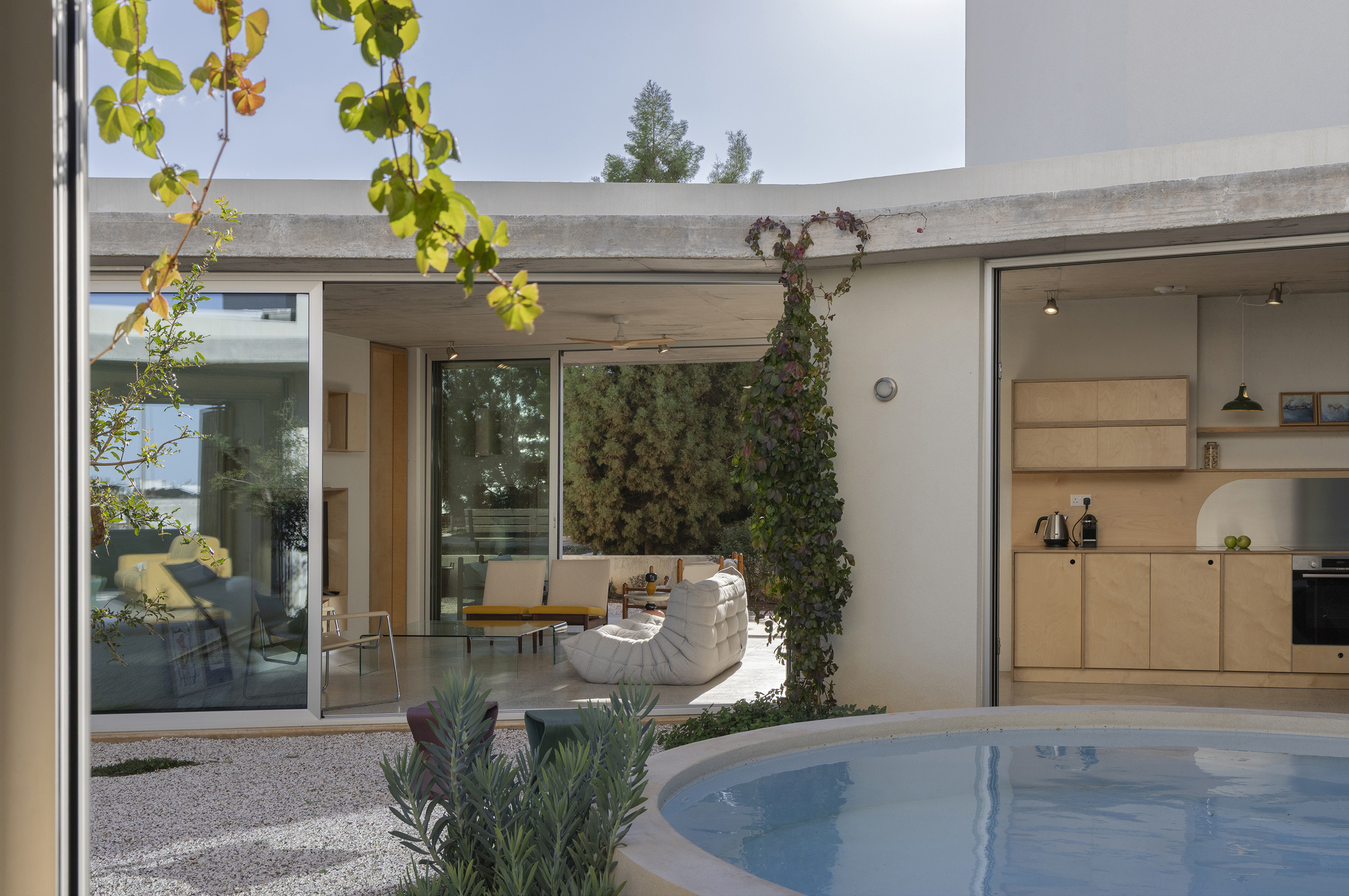 Courtyard with a round plunge pool, climbing vine and open glass walls revealing a plywood kitchen and lounge chair