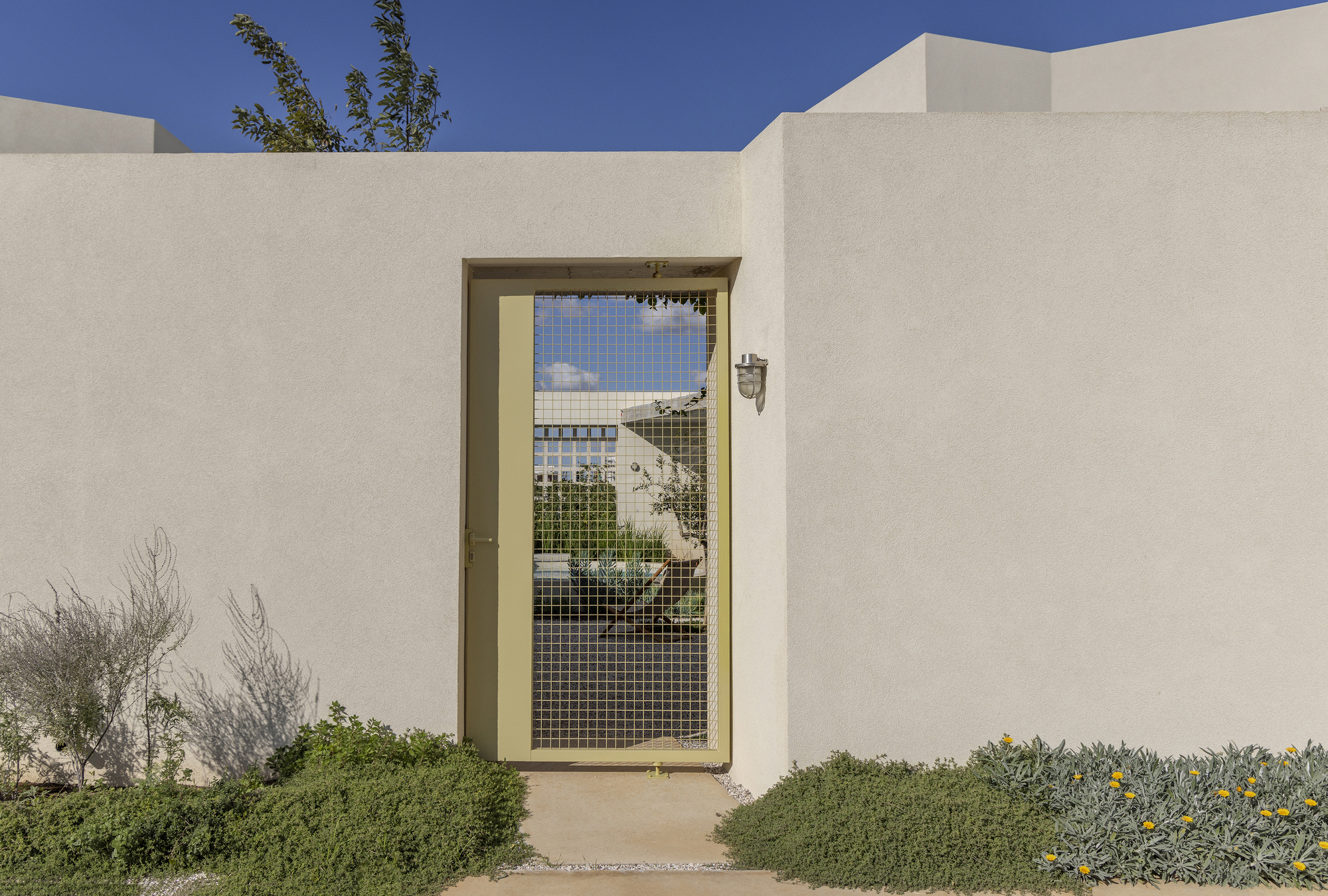 Entrance gate with olive-green frame and wire mesh panel set in a stucco wall, flanked by low groundcover with yellow flowers