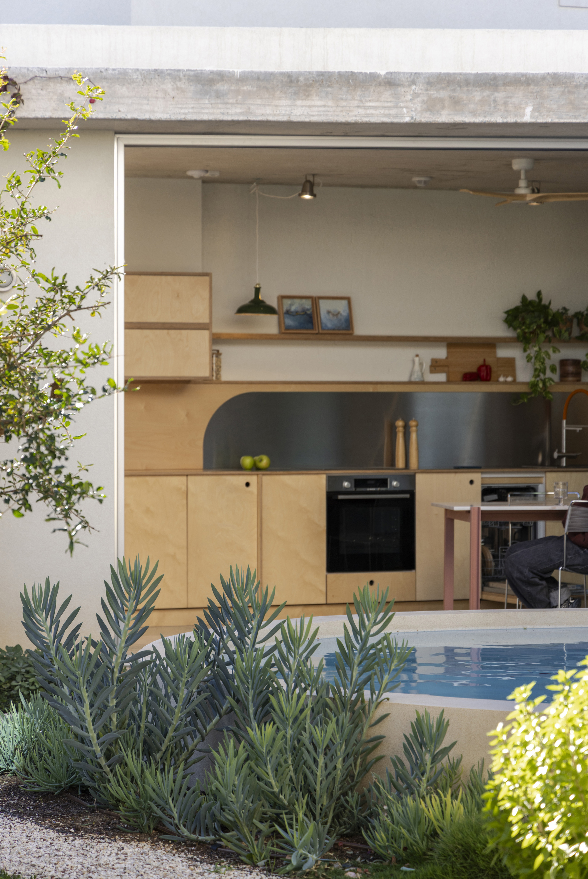 Plywood kitchen with steel backsplash and built-in oven, seen past silvery-green plants and a small plunge pool in low light