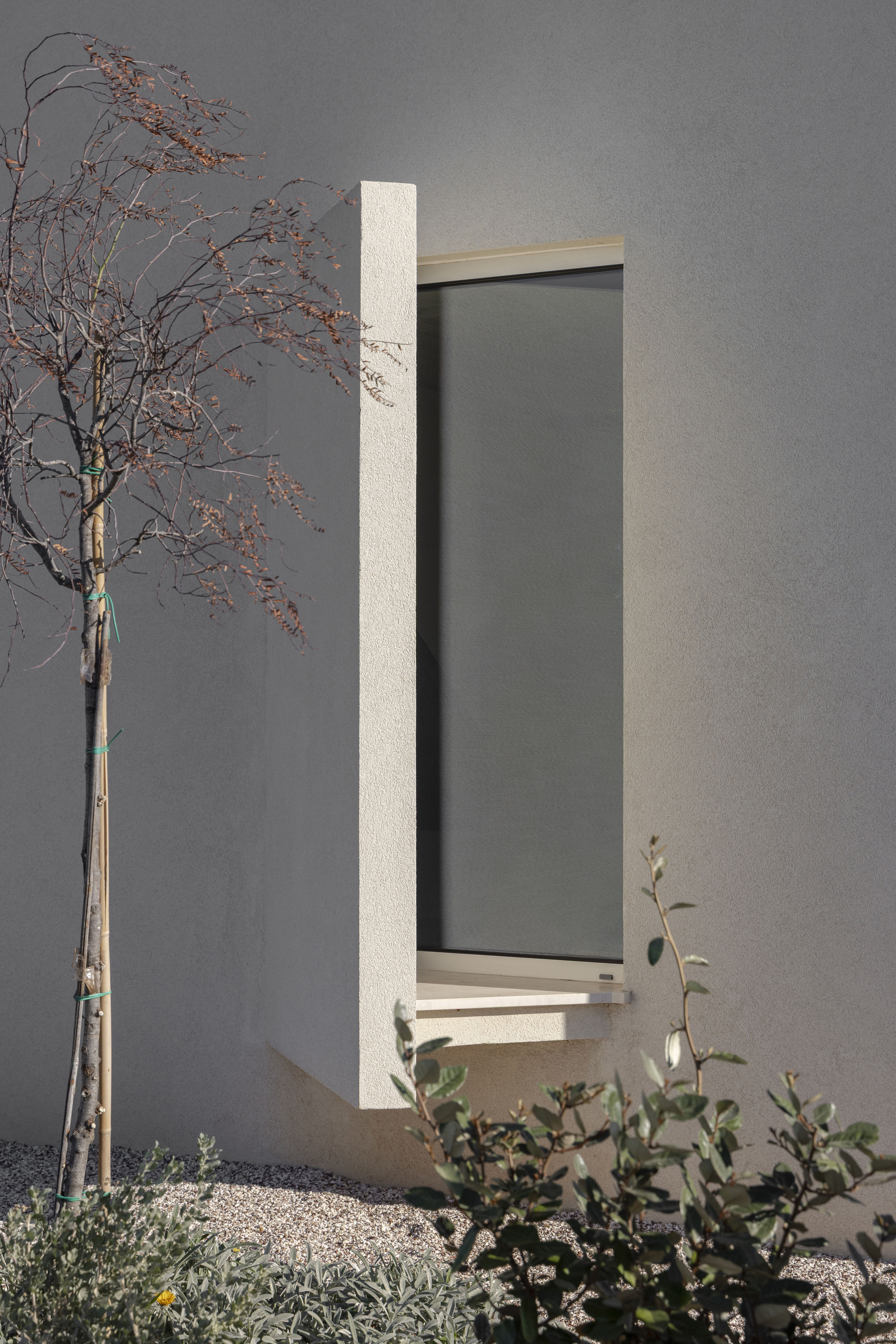 Recessed window with a deep rendered reveal on a grey stucco wall, a young tree and gravel bed in low sun