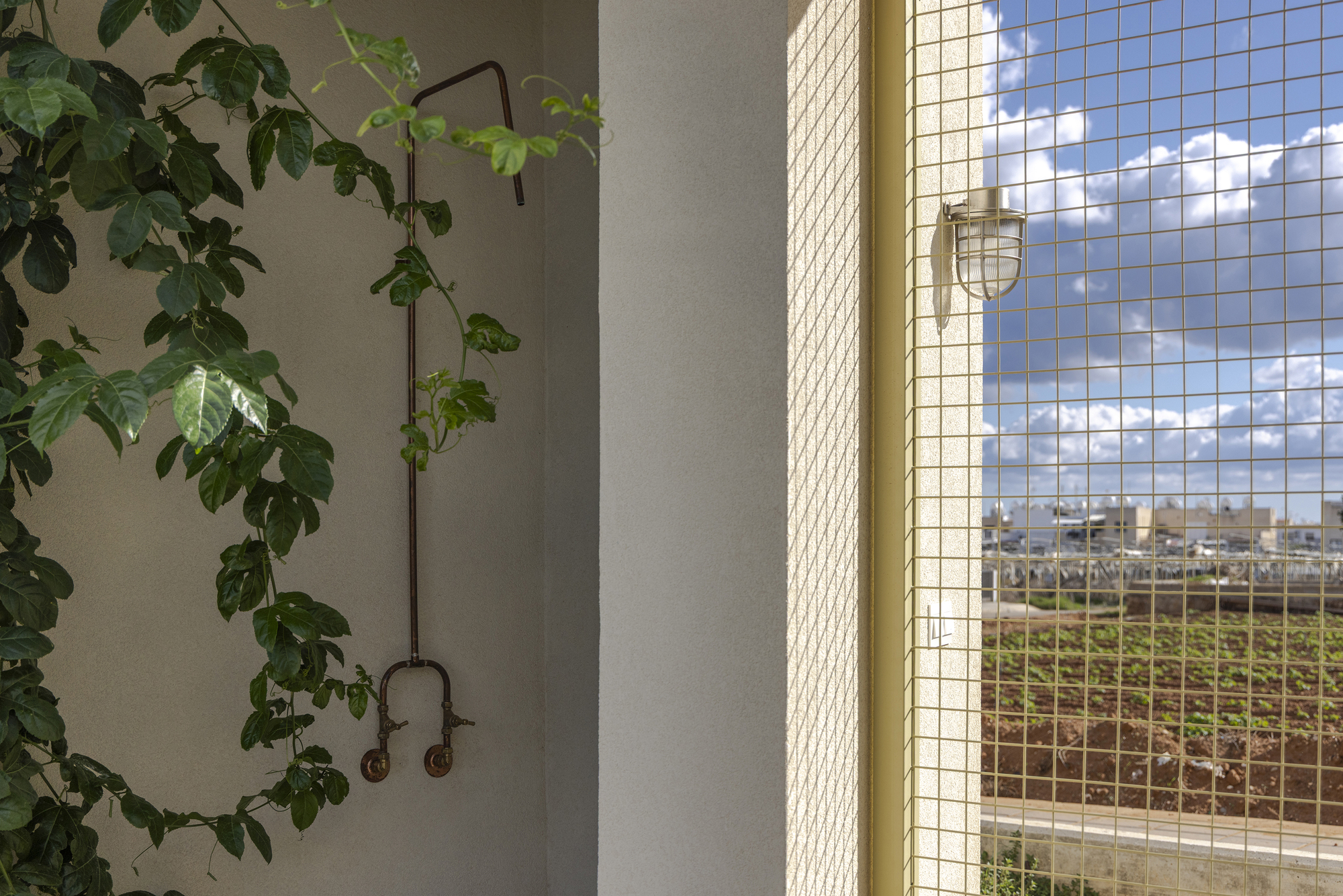 Wire mesh screen and brass bulkhead lamp beside a climbing vine, with a ploughed field and cloudy sky beyond