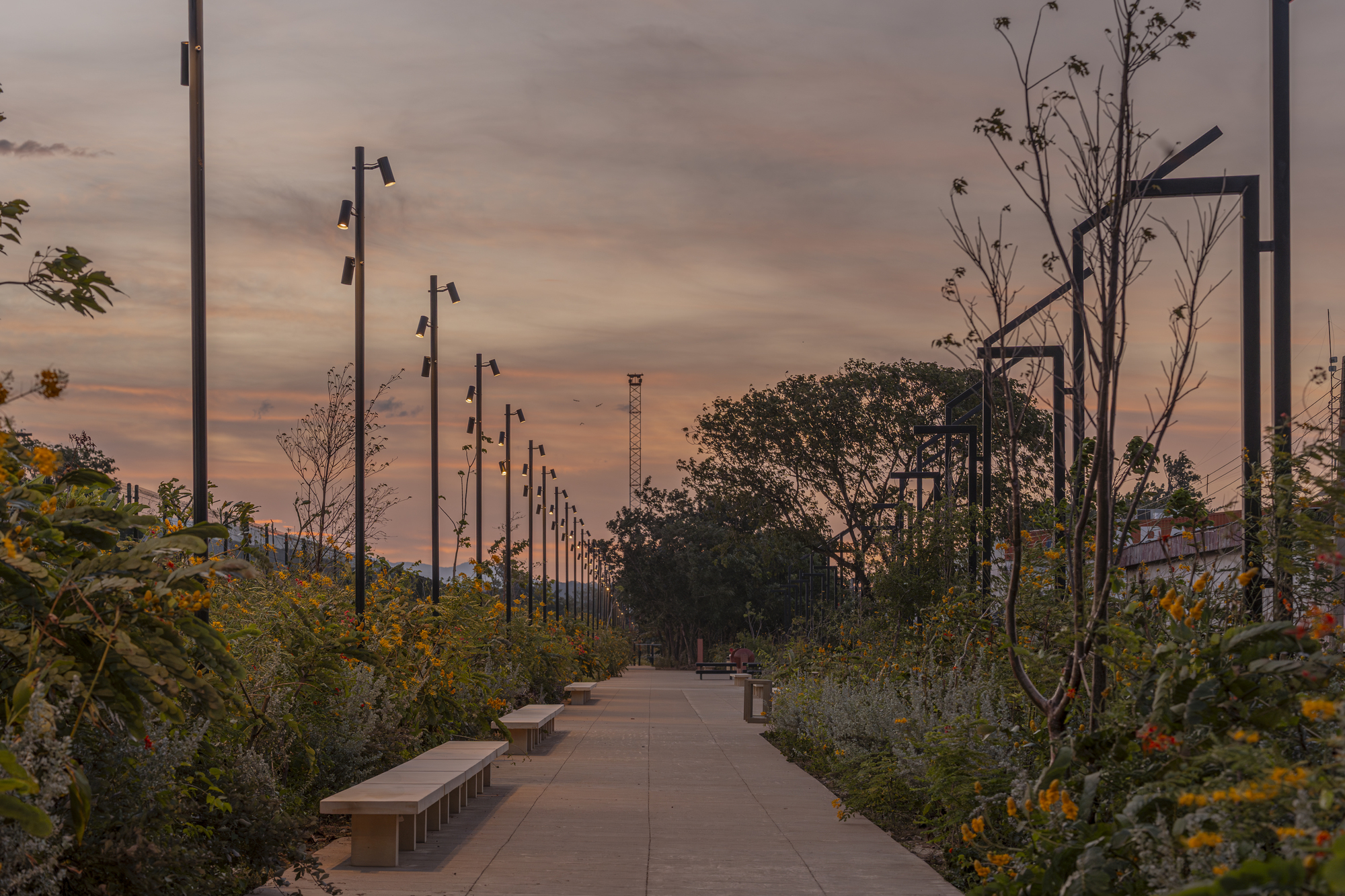 Long paved walkway with slim lamp posts, low benches and yellow-flowering planting under an orange and pink dusk sky
