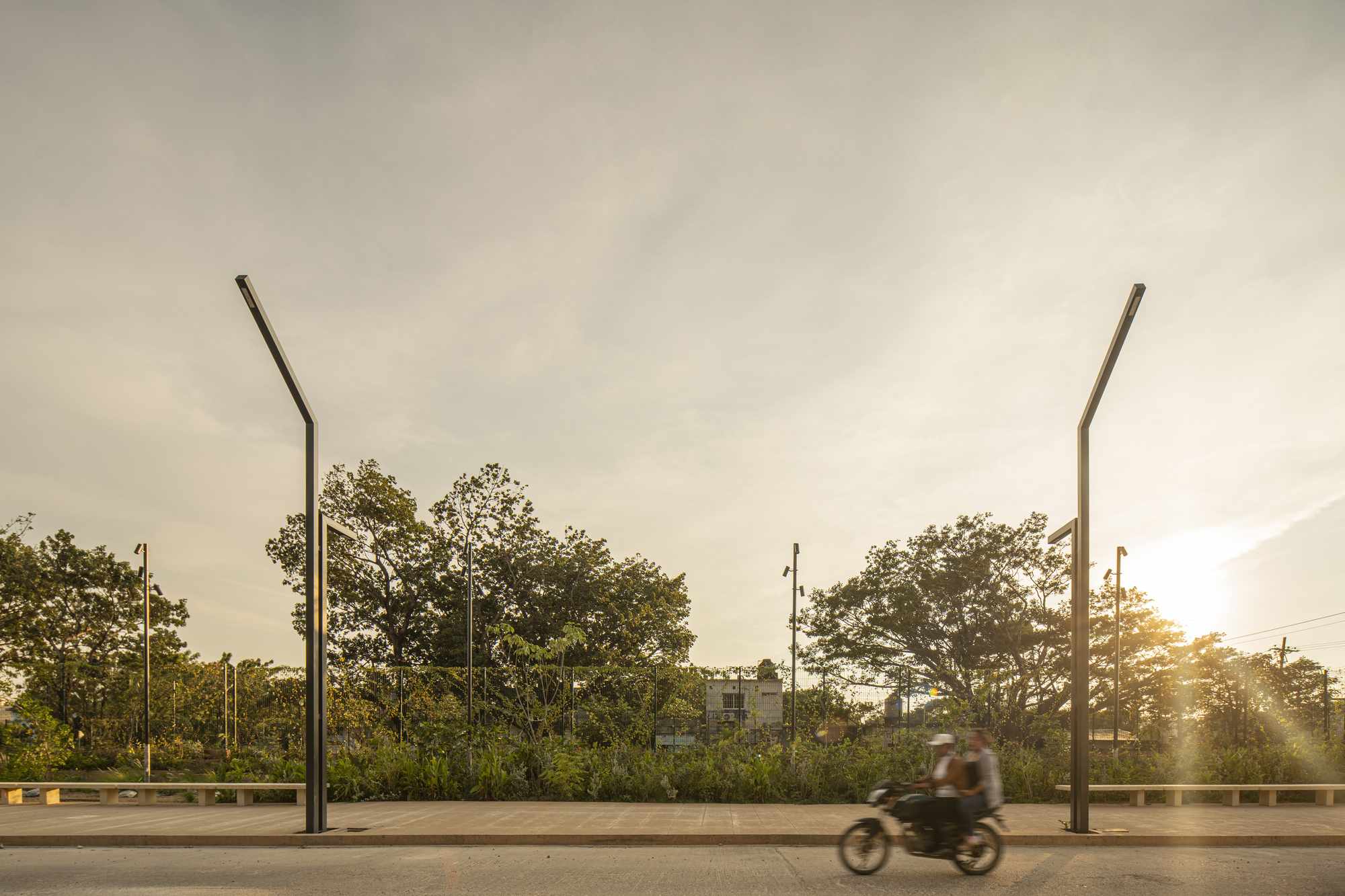 Two curved black lamp poles and a long bench along the edge of the planting as a motorcycle blurs past at sunset