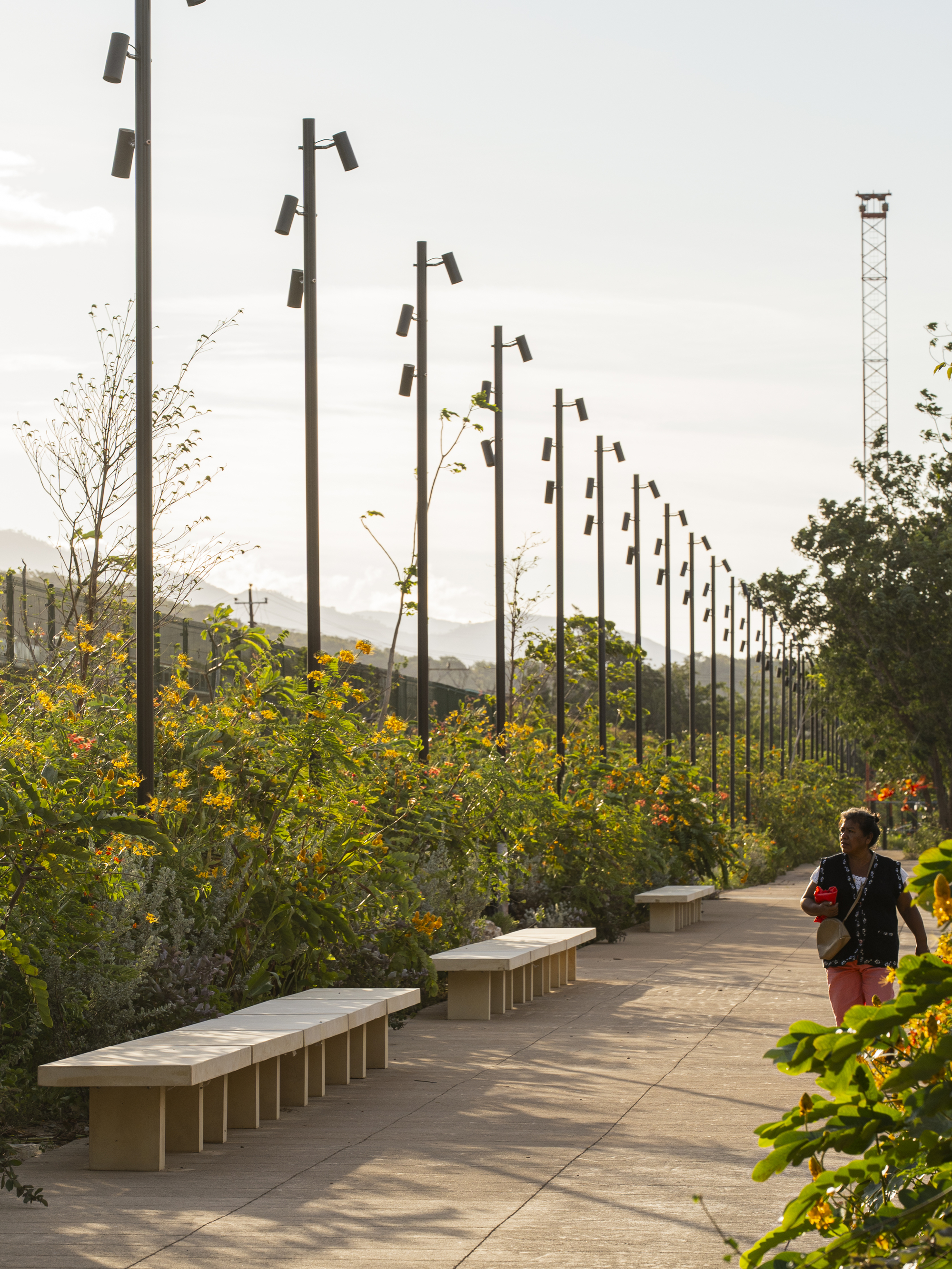 Row of tall lamp posts and stone benches along a paved walkway beside flowering shrubs, with a woman walking in late sun