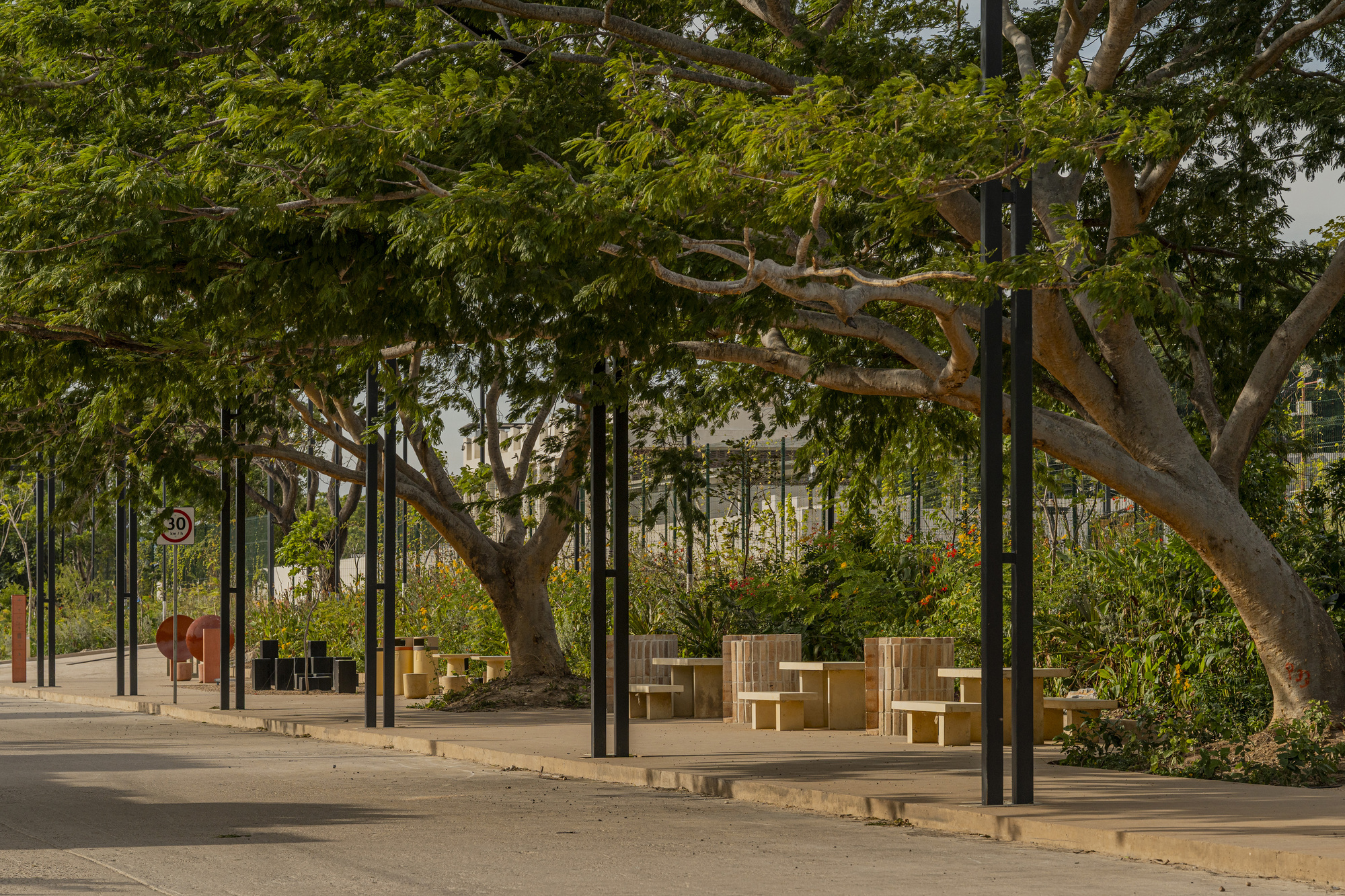 Stone tables and benches under a wide spreading tree canopy beside a street, with black steel posts in warm evening light