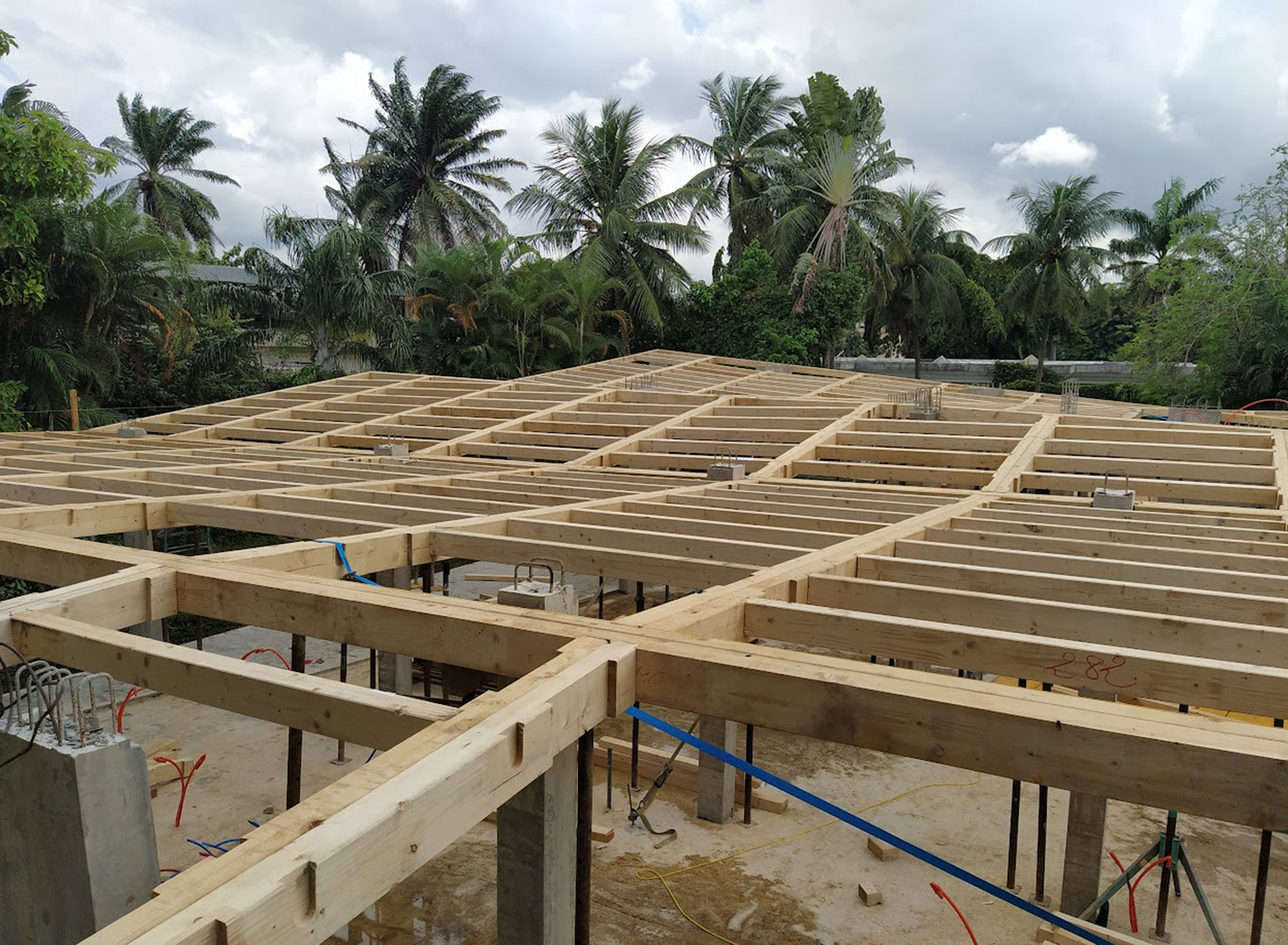 Timber joist framing laid over concrete posts and rebar during construction, with palm trees behind under an overcast sky
