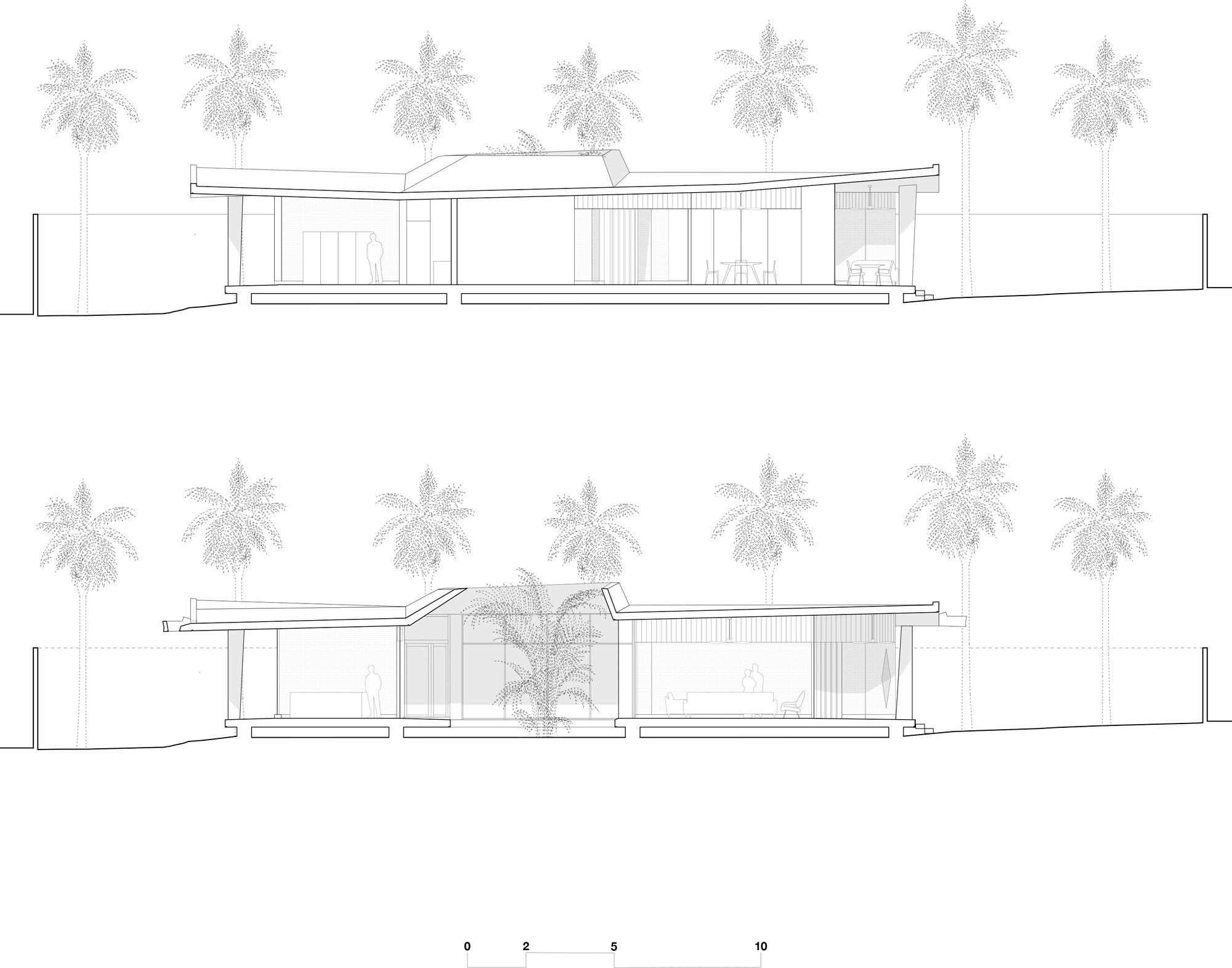 Two section drawings cutting through a low house with a kinked roof, a central planted courtyard and a row of palms behind