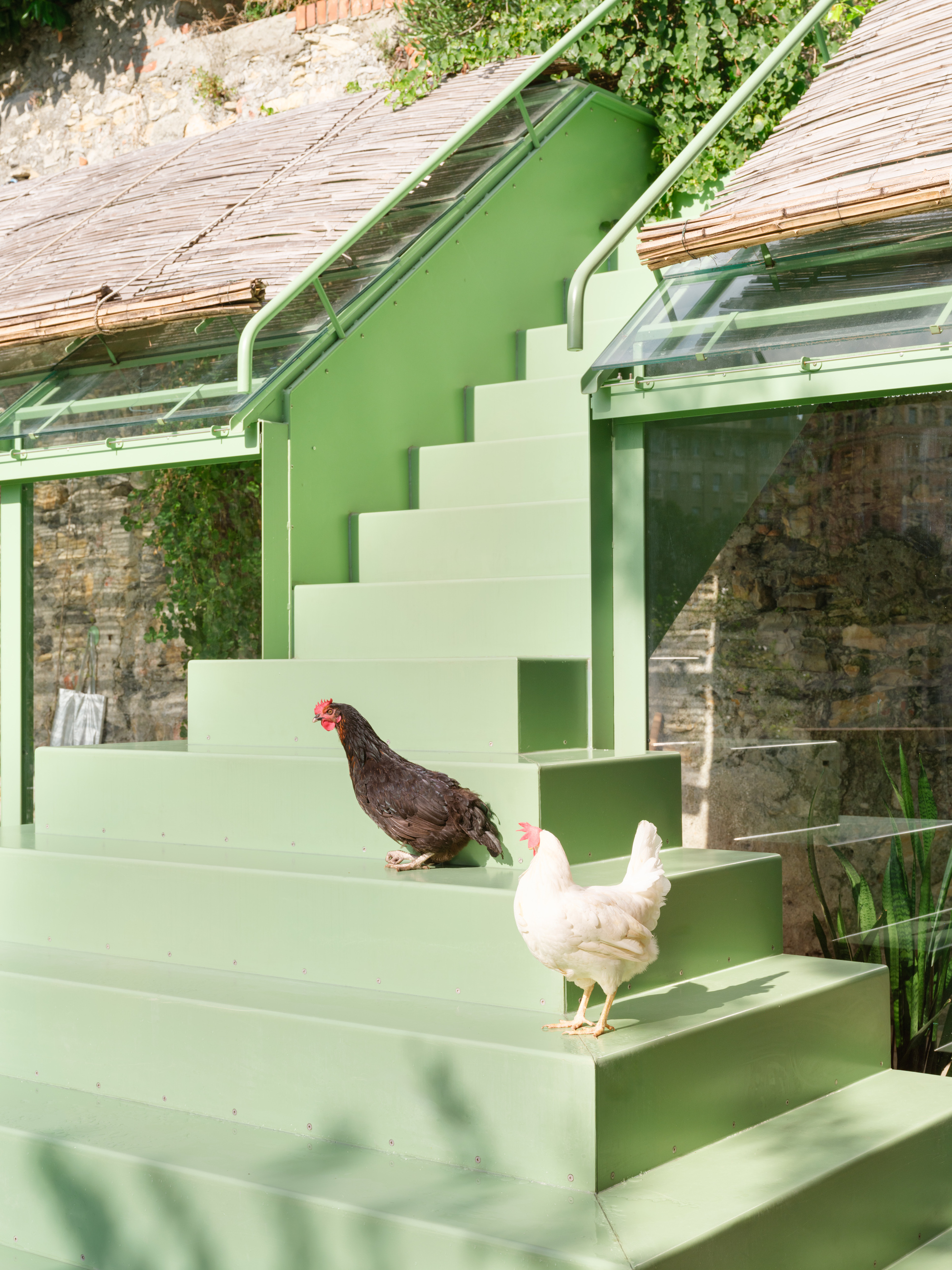 Close-up of the green staircase with a black hen and a white hen perched on the steps in dappled sunlight