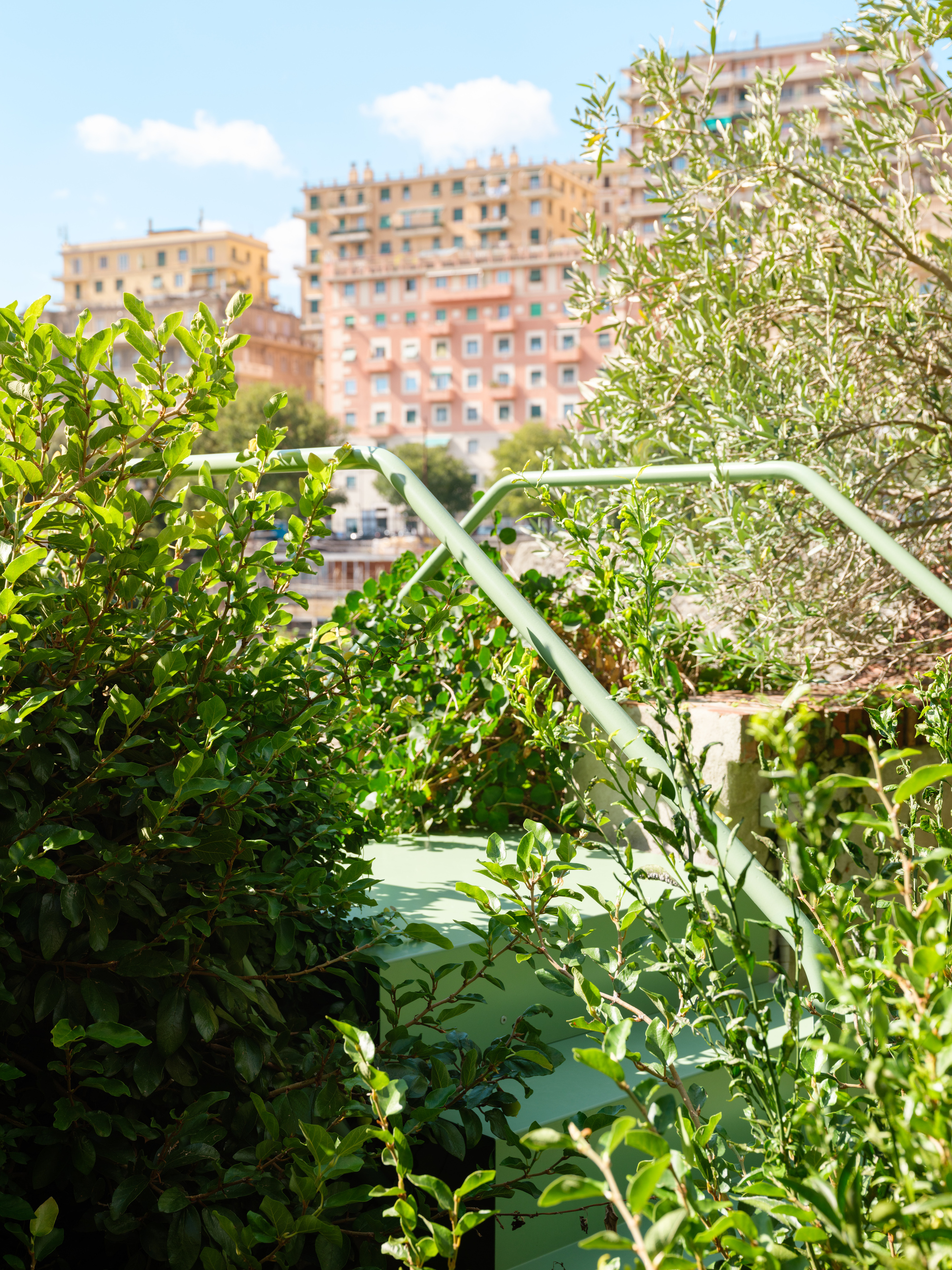 Green tubular handrail running through leafy shrubs with pastel apartment blocks rising in the background under a blue sky