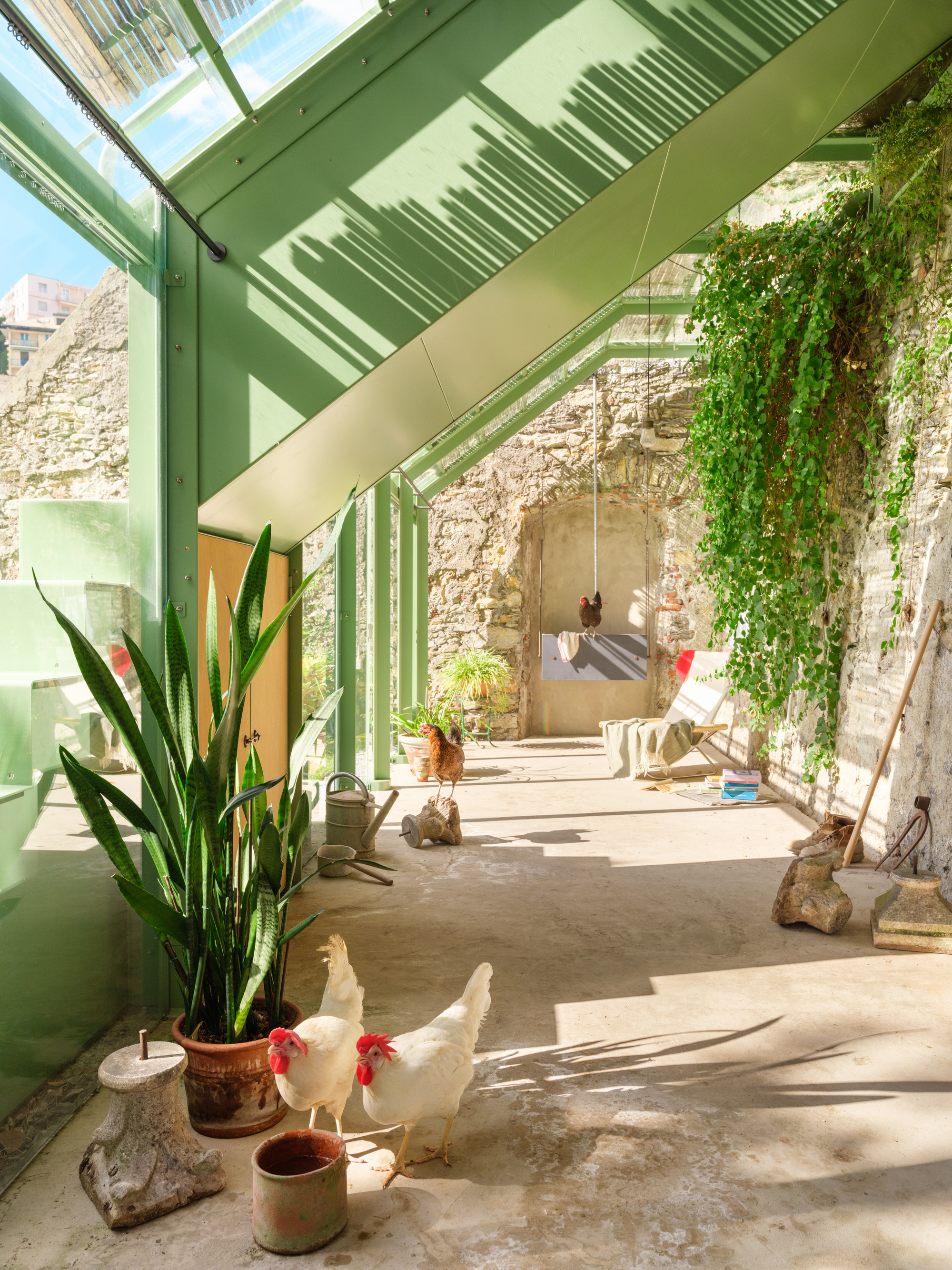 Glazed lean-to interior with white hens on a concrete floor, a potted snake plant and ivy hanging from the old stone wall in sunlight
