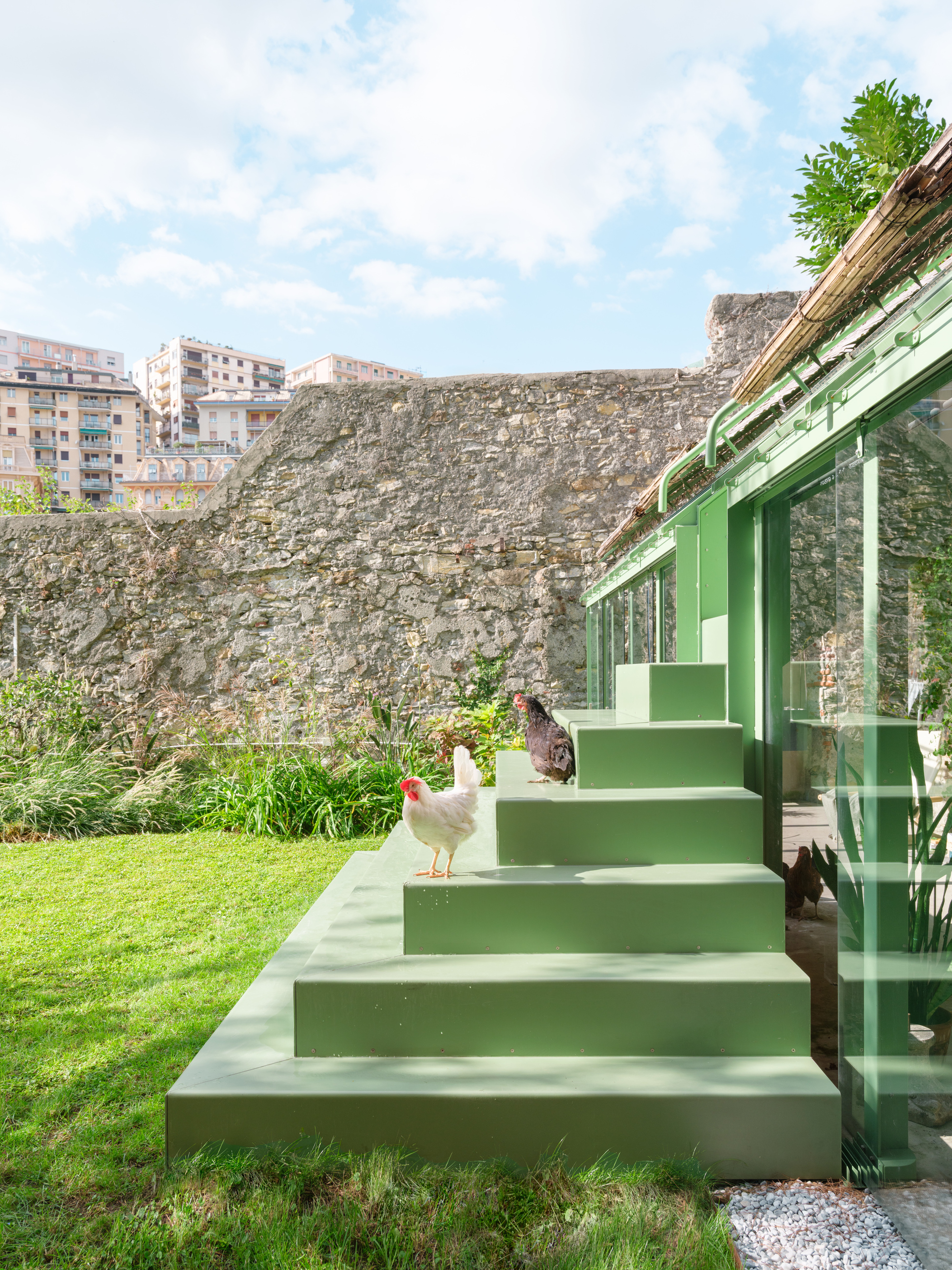 Pale green stepped platform beside the glass wall, with a white hen and a dark hen on the steps in midday sun