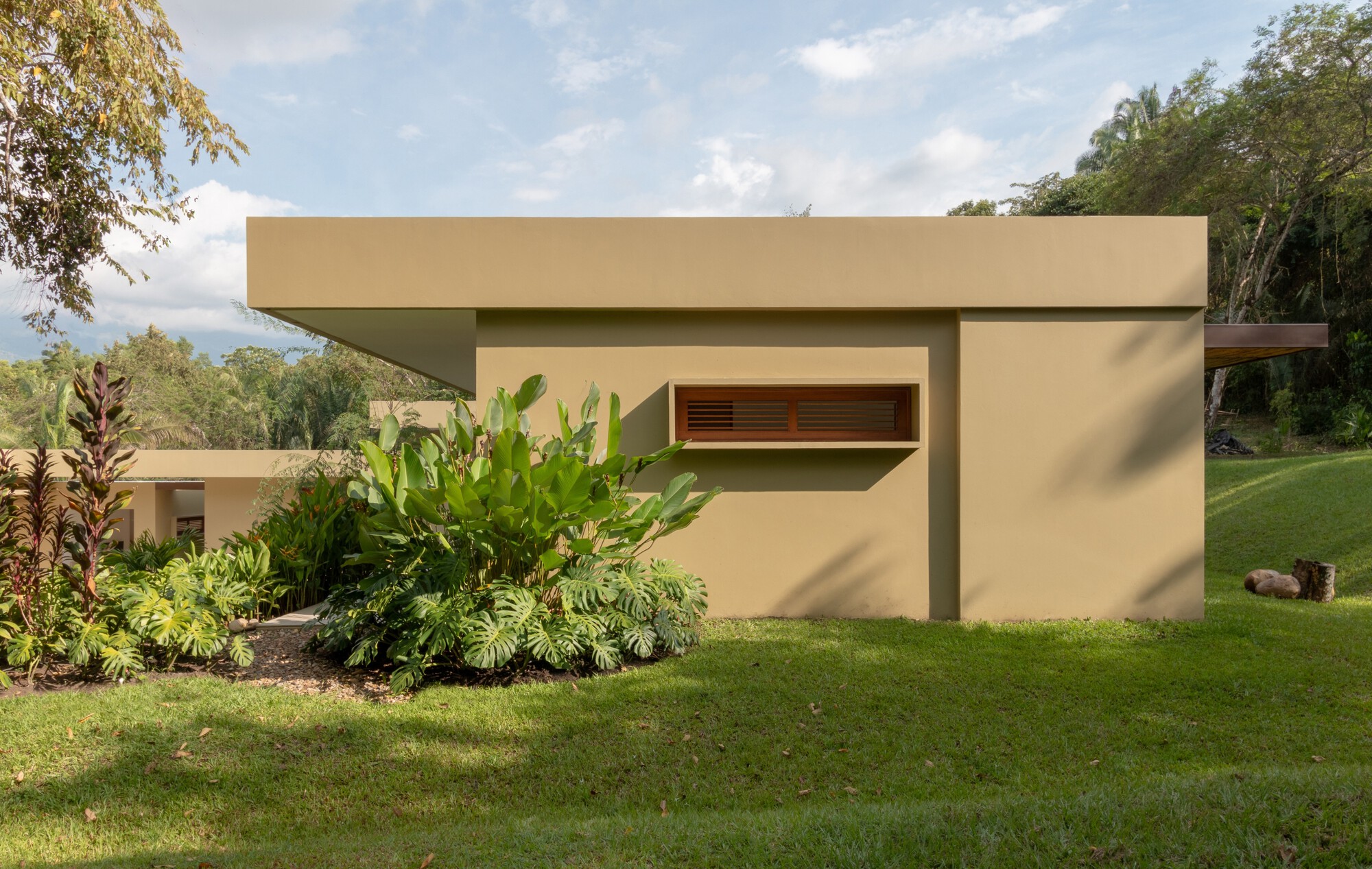 Side elevation of a flat-roofed ochre volume with a louvered timber window, large-leaf plants and lawn in dappled afternoon shade
