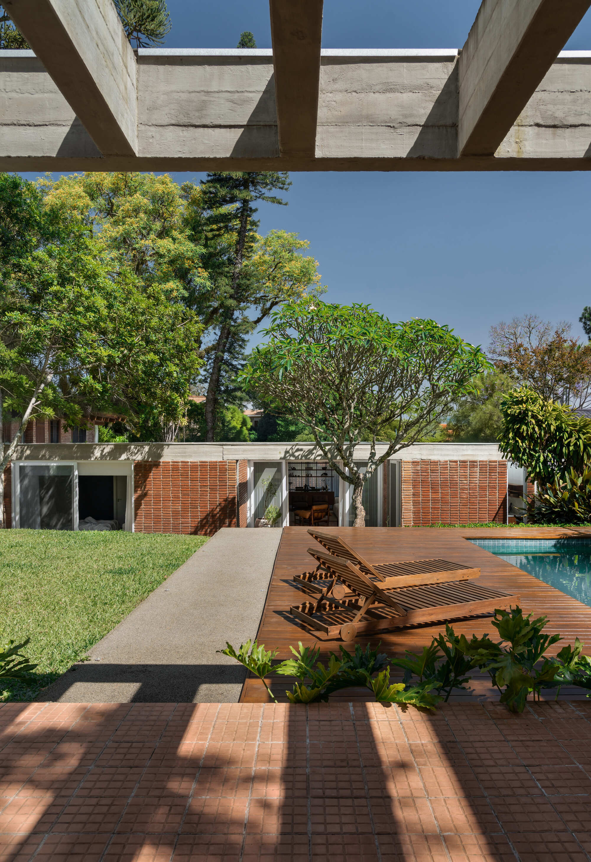 View under a concrete pergola toward a timber pool deck with two loungers, a frangipani tree and a brick pavilion wall