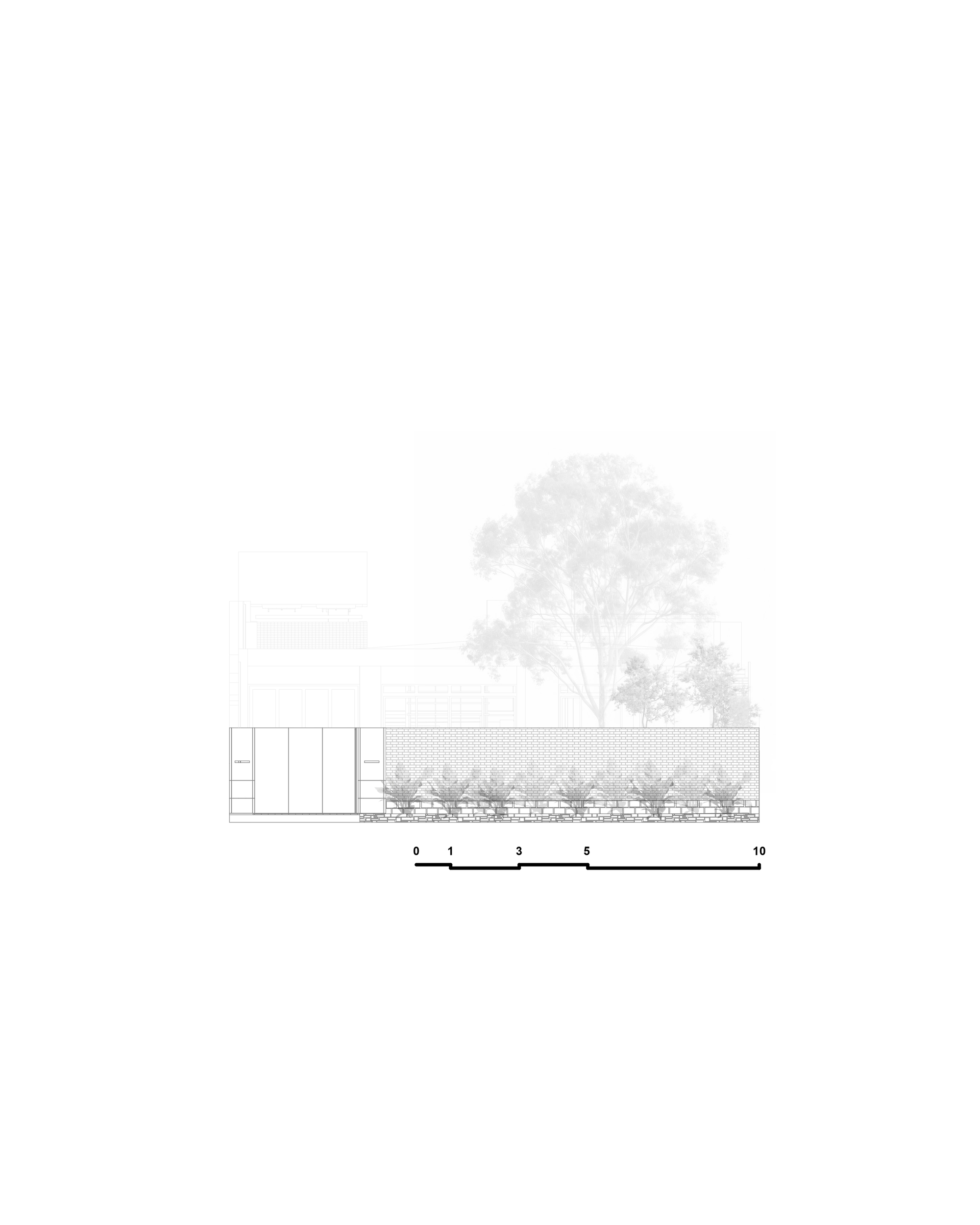Elevation drawing of a street wall with a sliding gate and a row of planted ferns, with a large tree rising behind