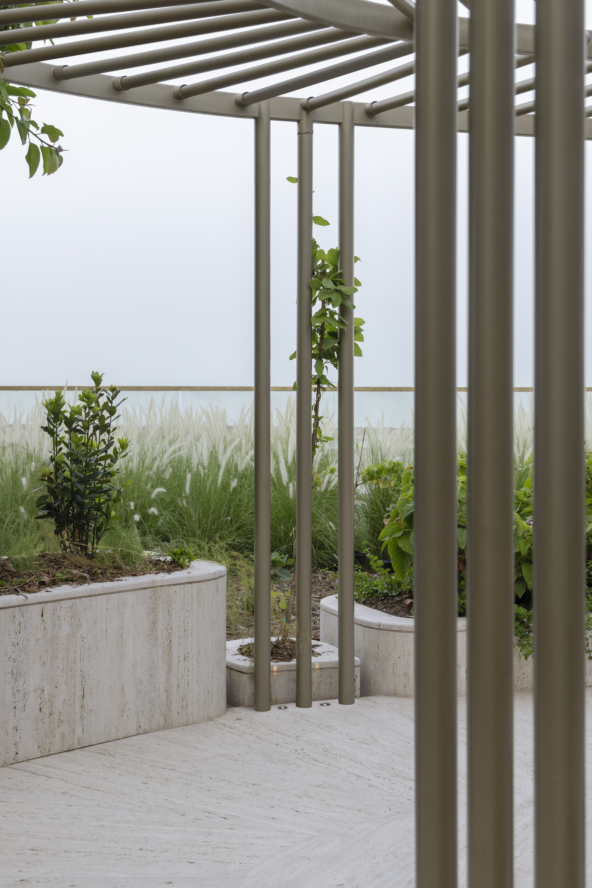 Rooftop planter beds of grasses and shrubs seen through slender metal pergola posts under a hazy white sky
